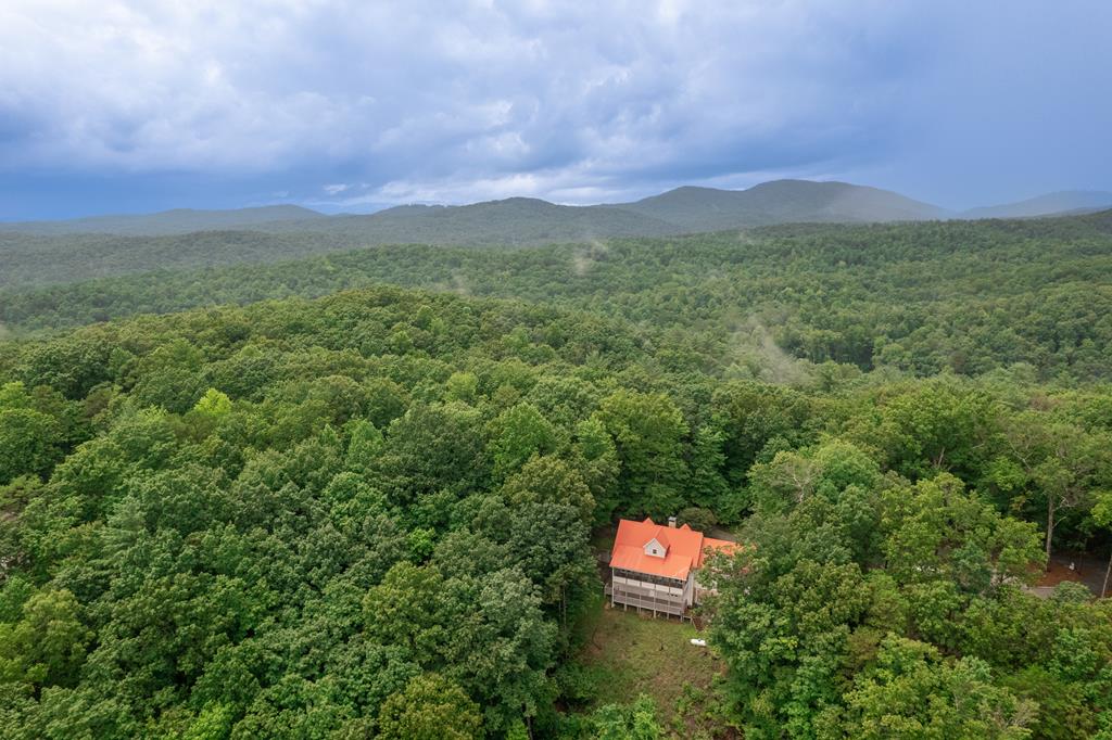 770 Flagpole Road Ellijay, GA 30540 - Photo 77 of 78 Gallery Image 77