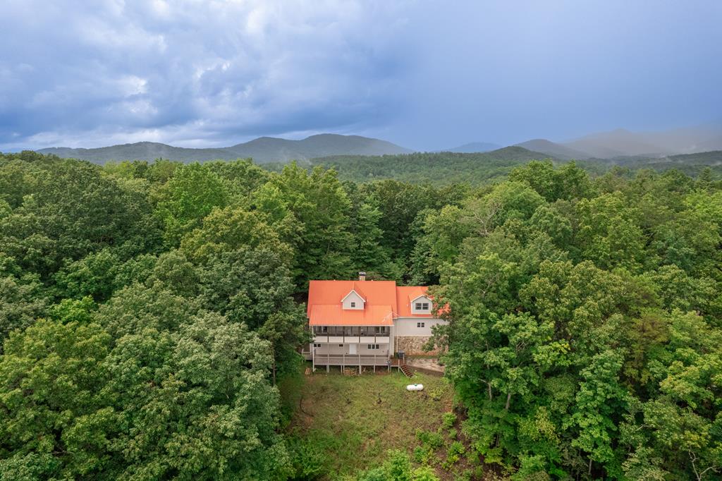 770 Flagpole Road Ellijay, GA 30540 - Photo 78 of 78 Gallery Image 78