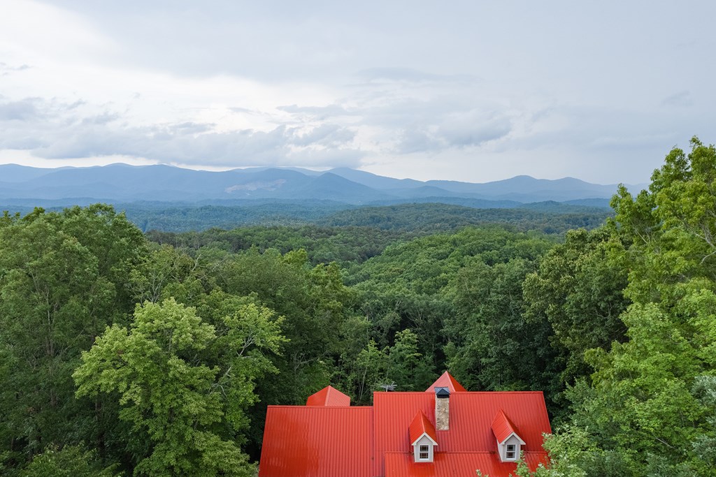 770 Flagpole Road Ellijay, GA 30540 - Photo 10 of 78 Gallery Image 10
