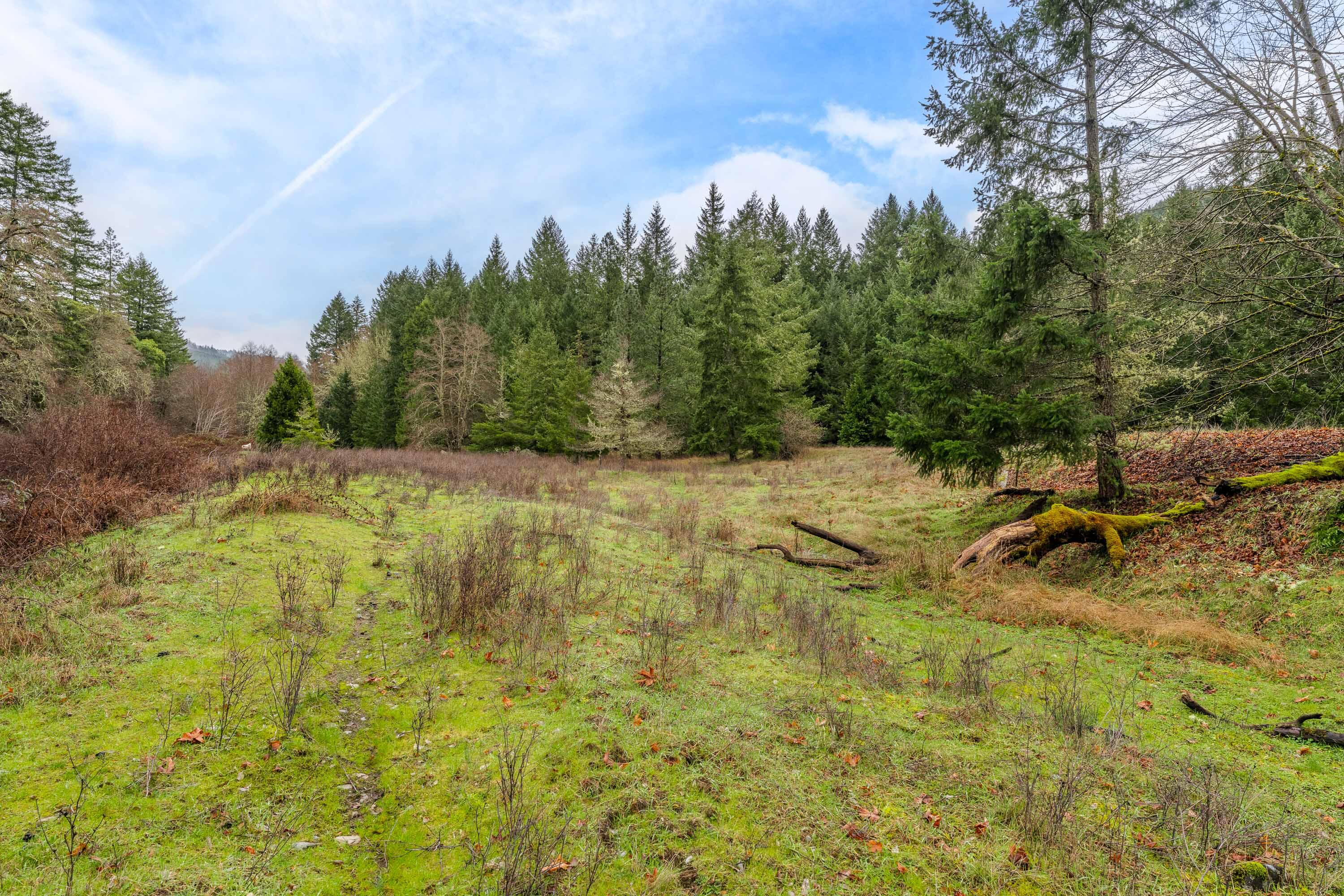0 Upper Cow Creek Road Azalea, OR 97410 - Photo 4 of 28 EXT2 (7 of 19)