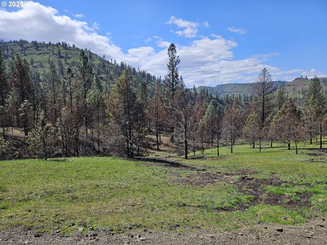 a view of a yard with iron fence