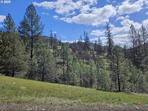 $950,000 | 47345 Ritter Road, Long Creek, OR 97856