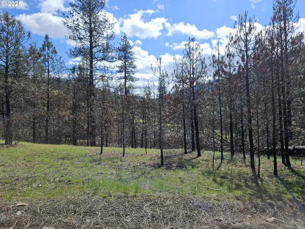 $950,000 | 47345 Ritter Road, Long Creek, OR 97856