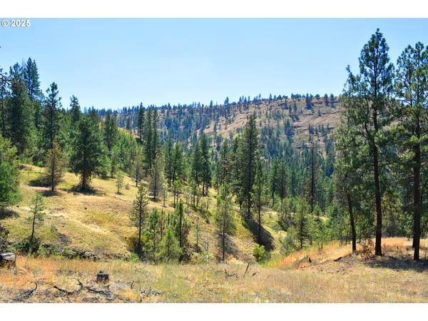 $950,000 | 47345 Ritter Road, Long Creek, OR 97856