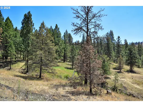 $950,000 | 47345 Ritter Road, Long Creek, OR 97856