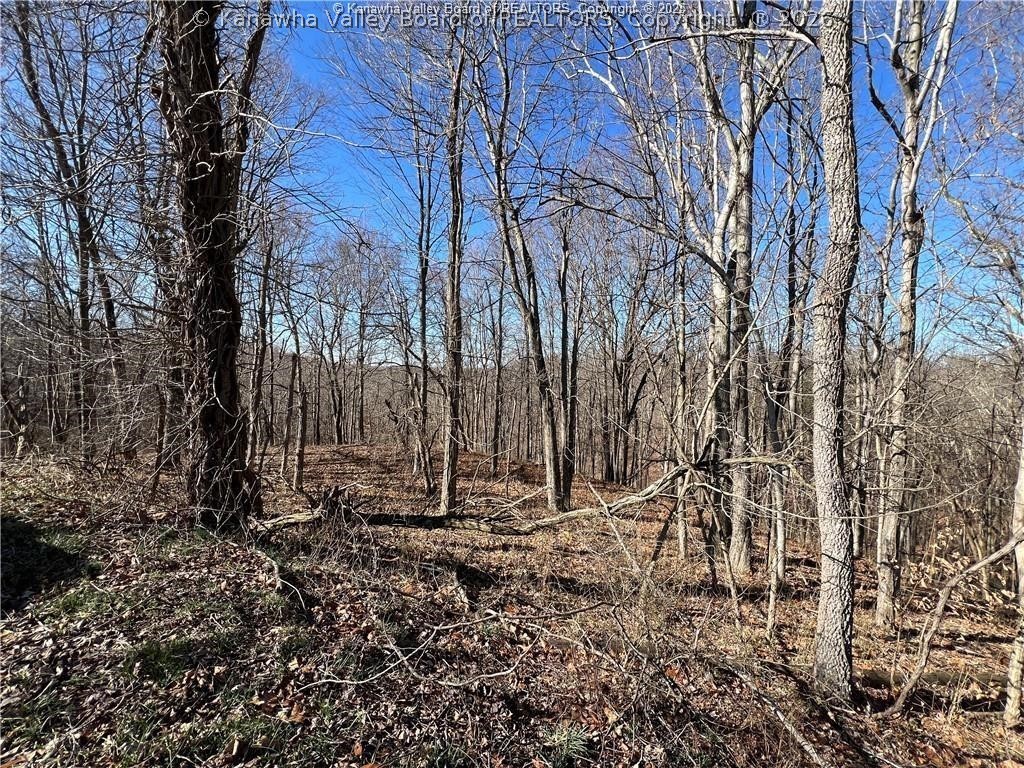 15374 Redmond Ridge Road Gallipolis Ferry, WV 25515 - Photo 10 of 16 Gallery Image 10