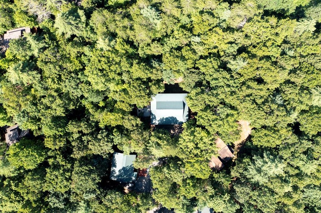 252 Dew Drop Lane Murphy, NC 28906 - Photo 45 of 45