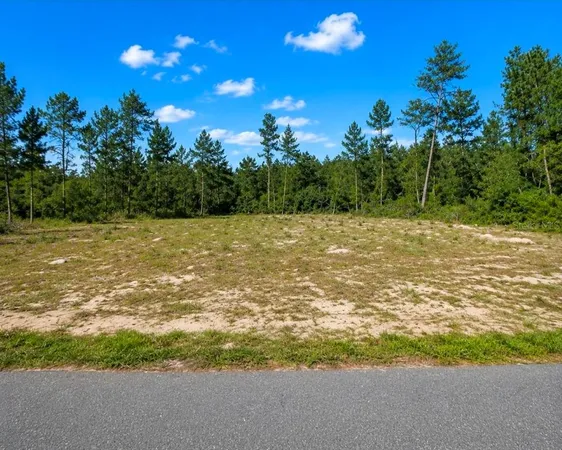 $51,900 | Tbd Southwest 20th Ct Road, Ocala, FL 34473