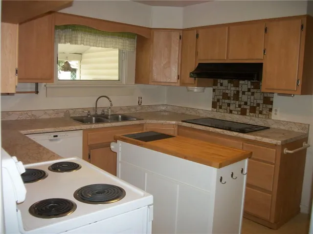 a kitchen with a sink a stove and a refrigerator