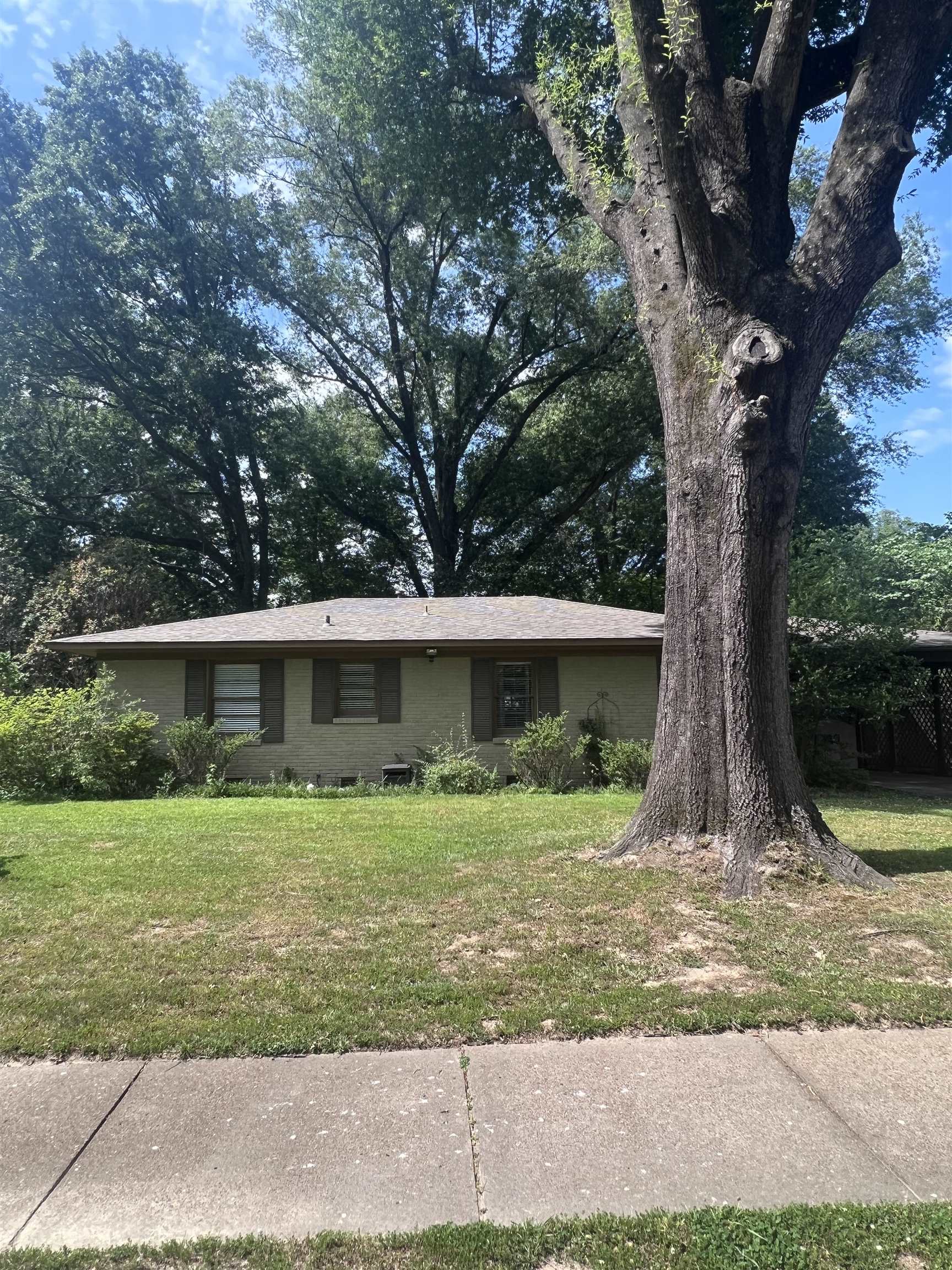 4682 Kaye Road Memphis, TN 38117 - Photo 17 of 17 a view of a backyard