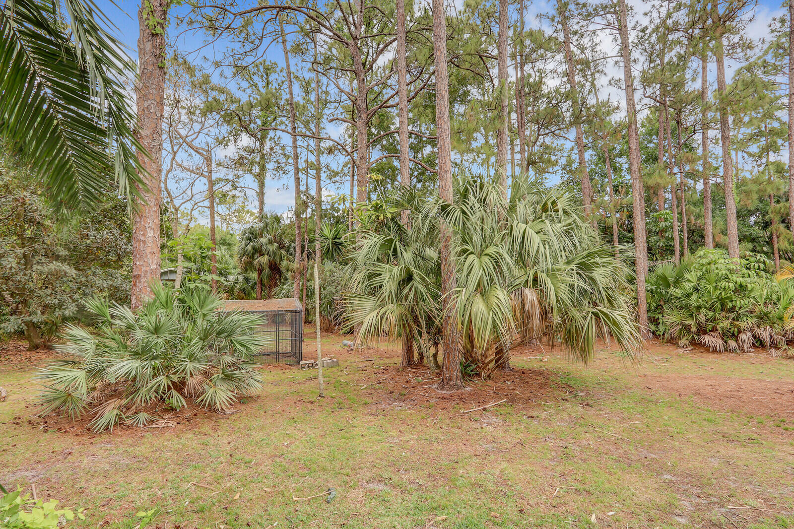 10530 Sandy Run Road Jupiter, FL 33478 - Photo 60 of 64 Yard