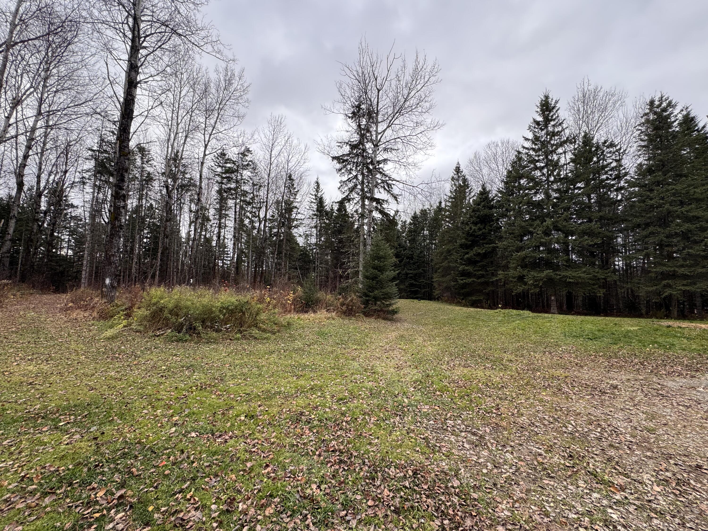 77 Perry Road Easton, ME 04740 - Photo 30 of 32 IMG_5770