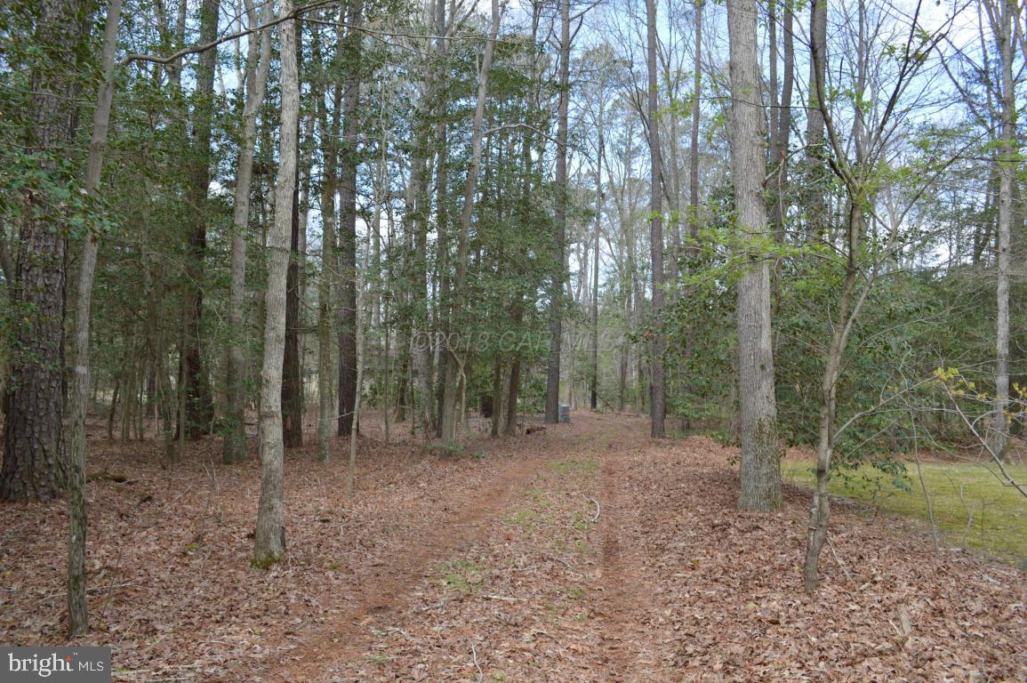 6780 Fire Tower Road Salisbury, MD 21801 - Photo 3 of 24 Gallery Image 3