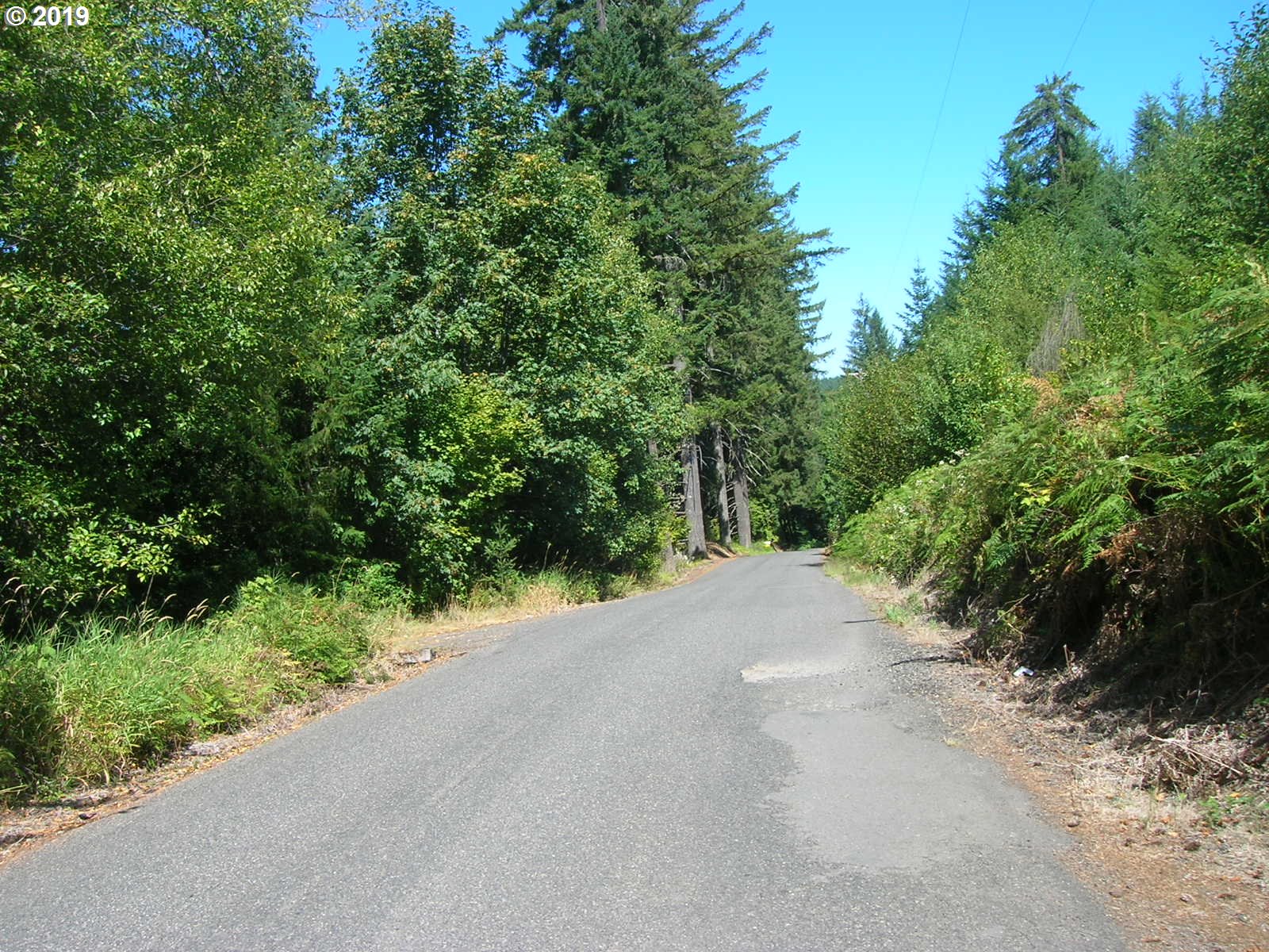 Mollenhour Road, Unit 2 Scappoose, OR 97056 - Photo 1 of 6 Gallery Image 1