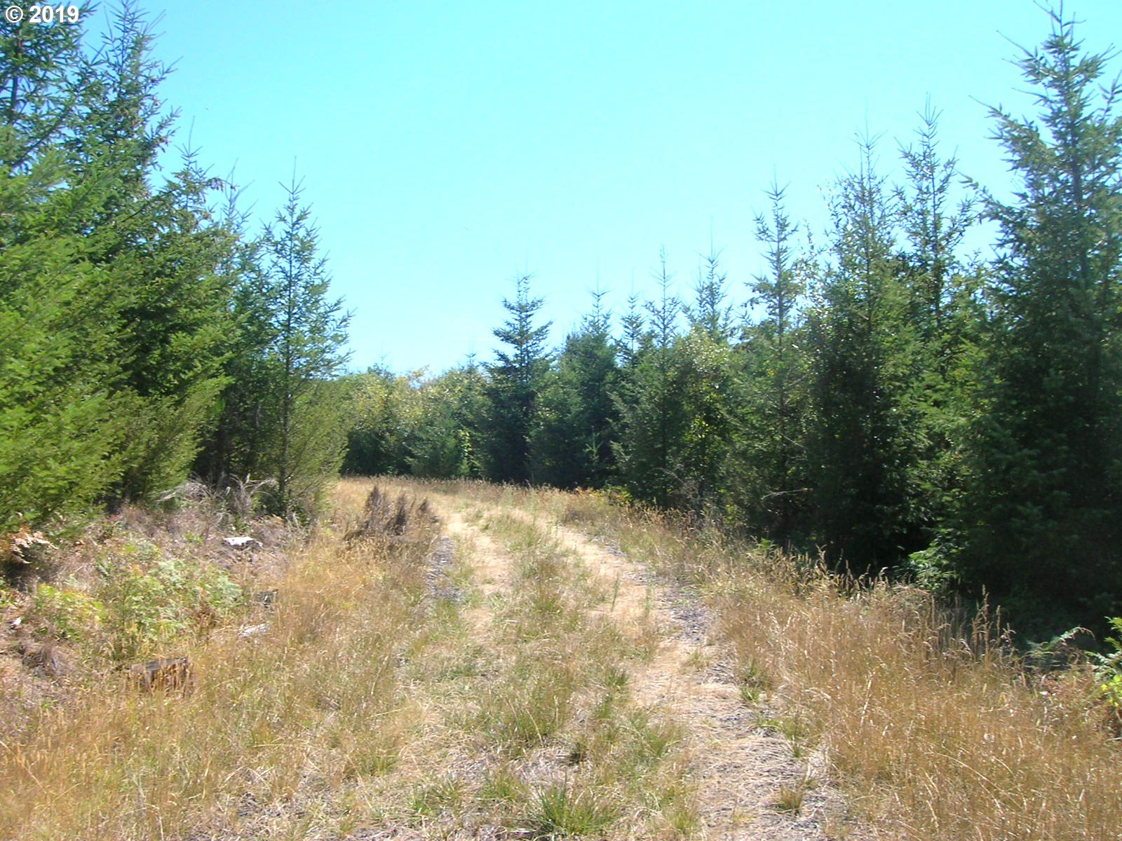 Mollenhour Road, Unit 2 Scappoose, OR 97056 - Photo 3 of 6 Gallery Image 3