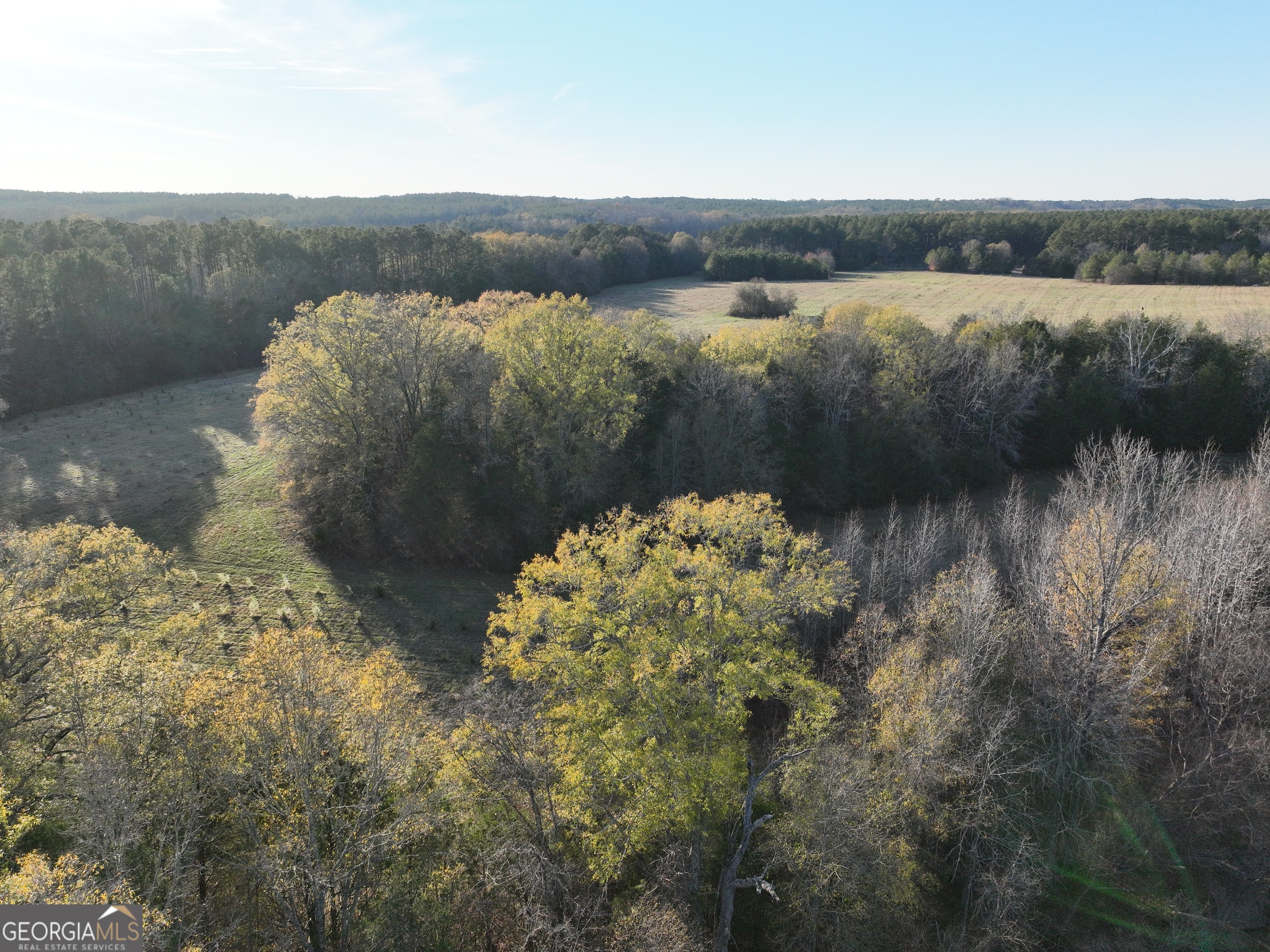 1 Seneca Street Calhoun Falls, SC 29628 - Photo 11 of 37