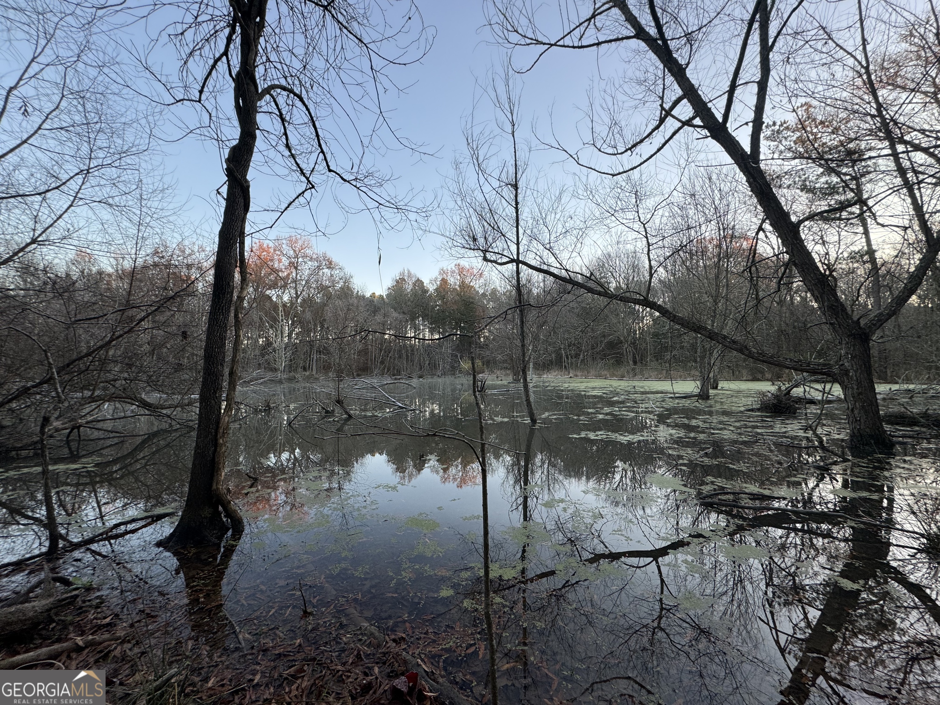 1 Seneca Street Calhoun Falls, SC 29628 - Photo 14 of 37