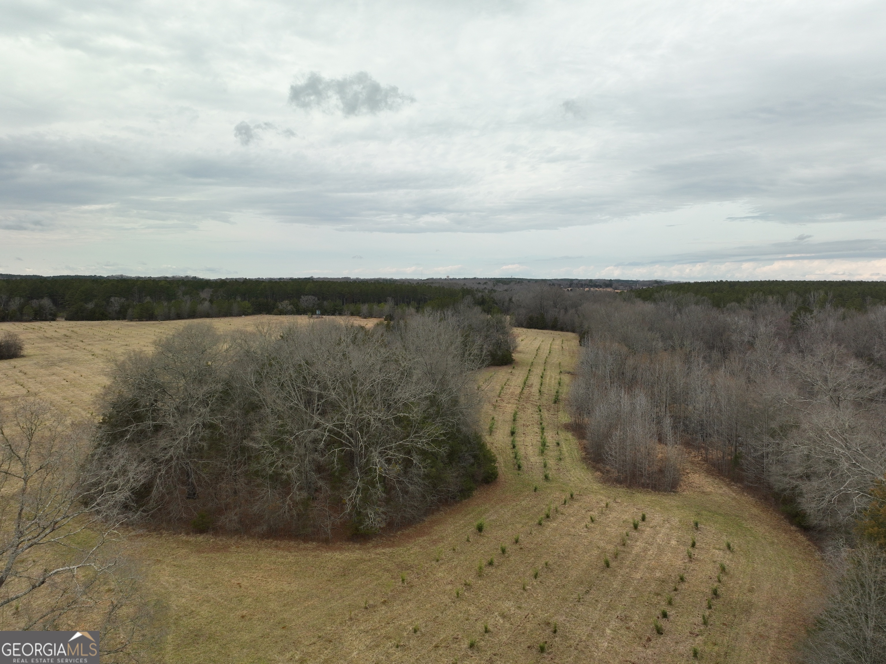 1 Seneca Street Calhoun Falls, SC 29628 - Photo 16 of 37