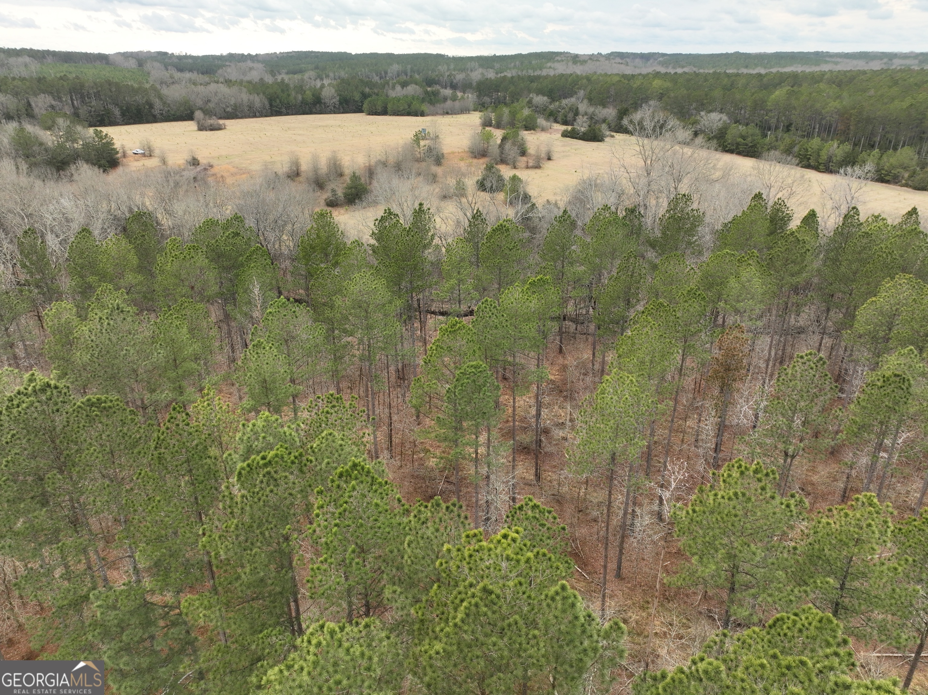 1 Seneca Street Calhoun Falls, SC 29628 - Photo 19 of 37