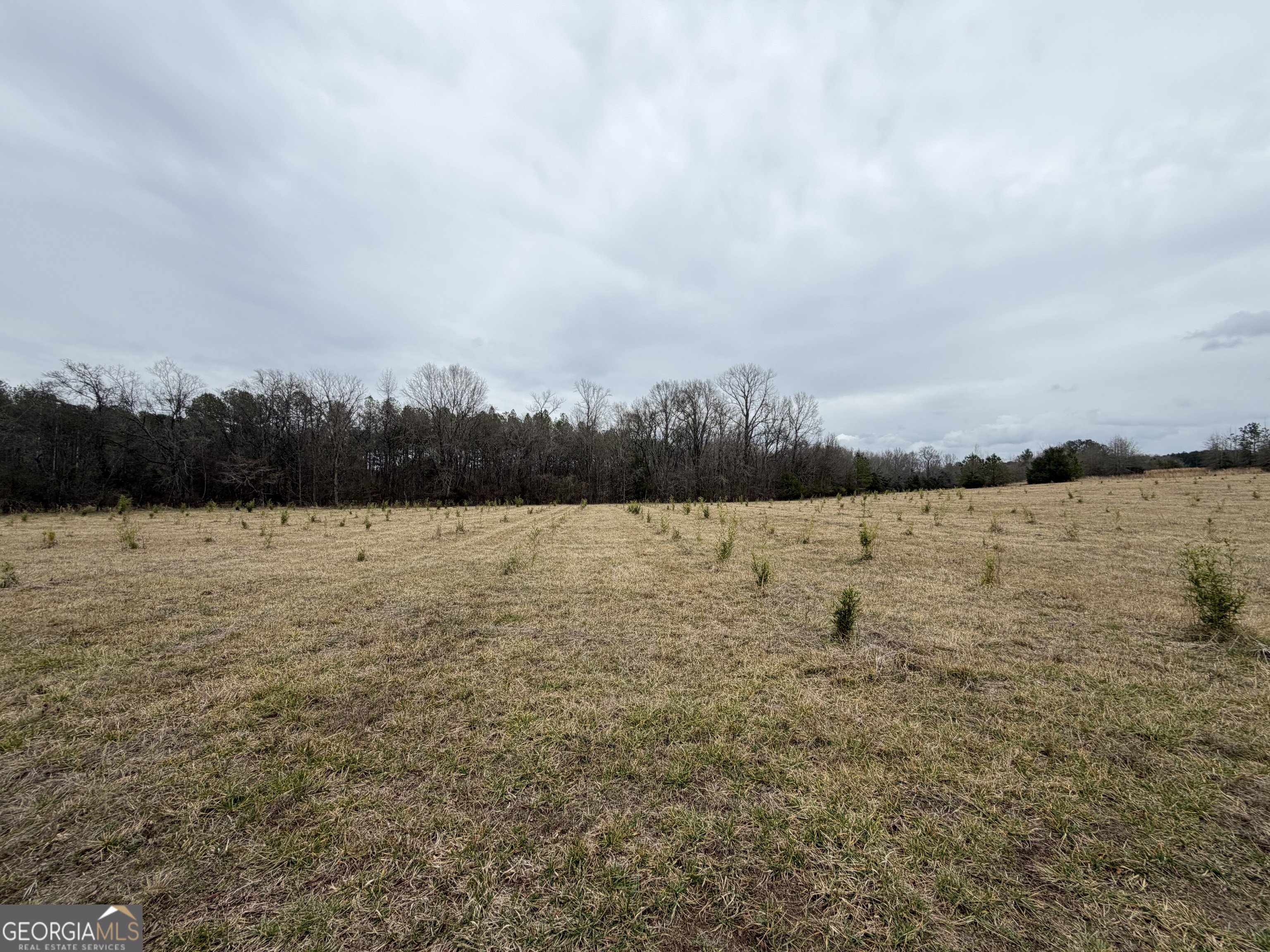 1 Seneca Street Calhoun Falls, SC 29628 - Photo 26 of 37