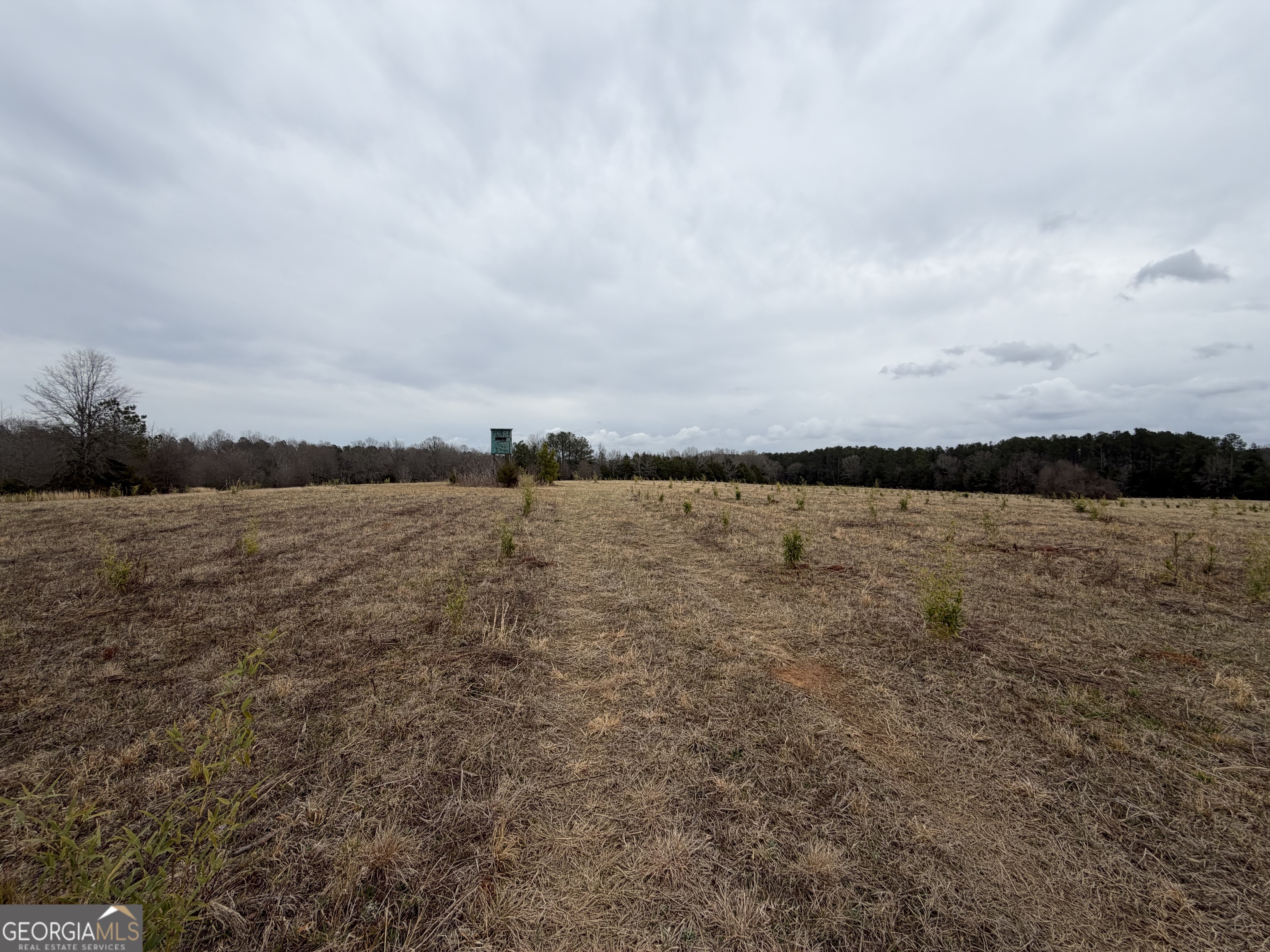 1 Seneca Street Calhoun Falls, SC 29628 - Photo 28 of 37