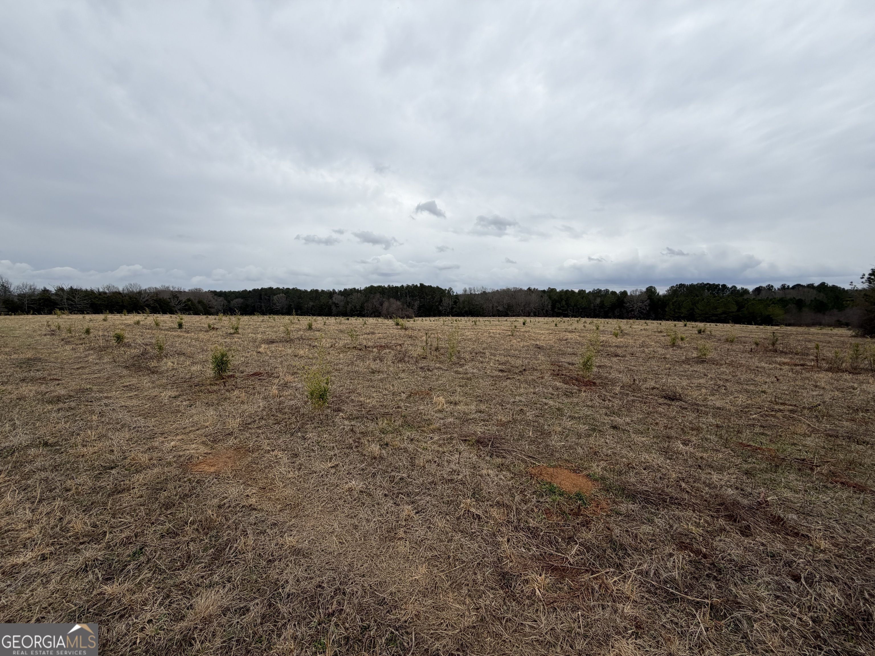 1 Seneca Street Calhoun Falls, SC 29628 - Photo 29 of 37