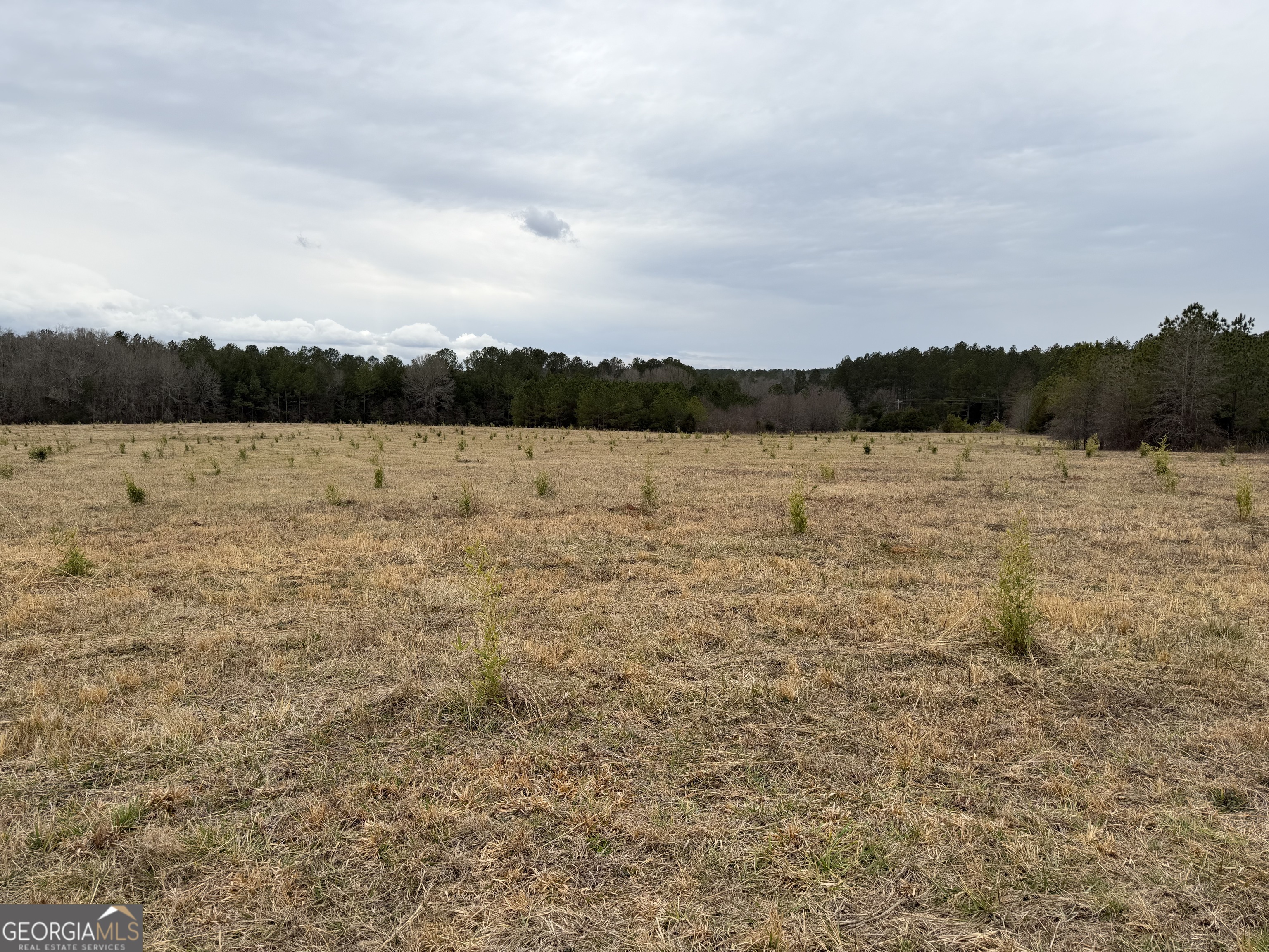 1 Seneca Street Calhoun Falls, SC 29628 - Photo 30 of 37
