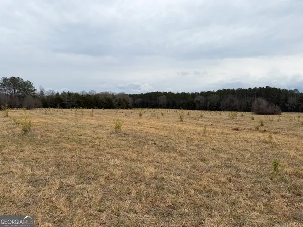 a view of open space with lake view