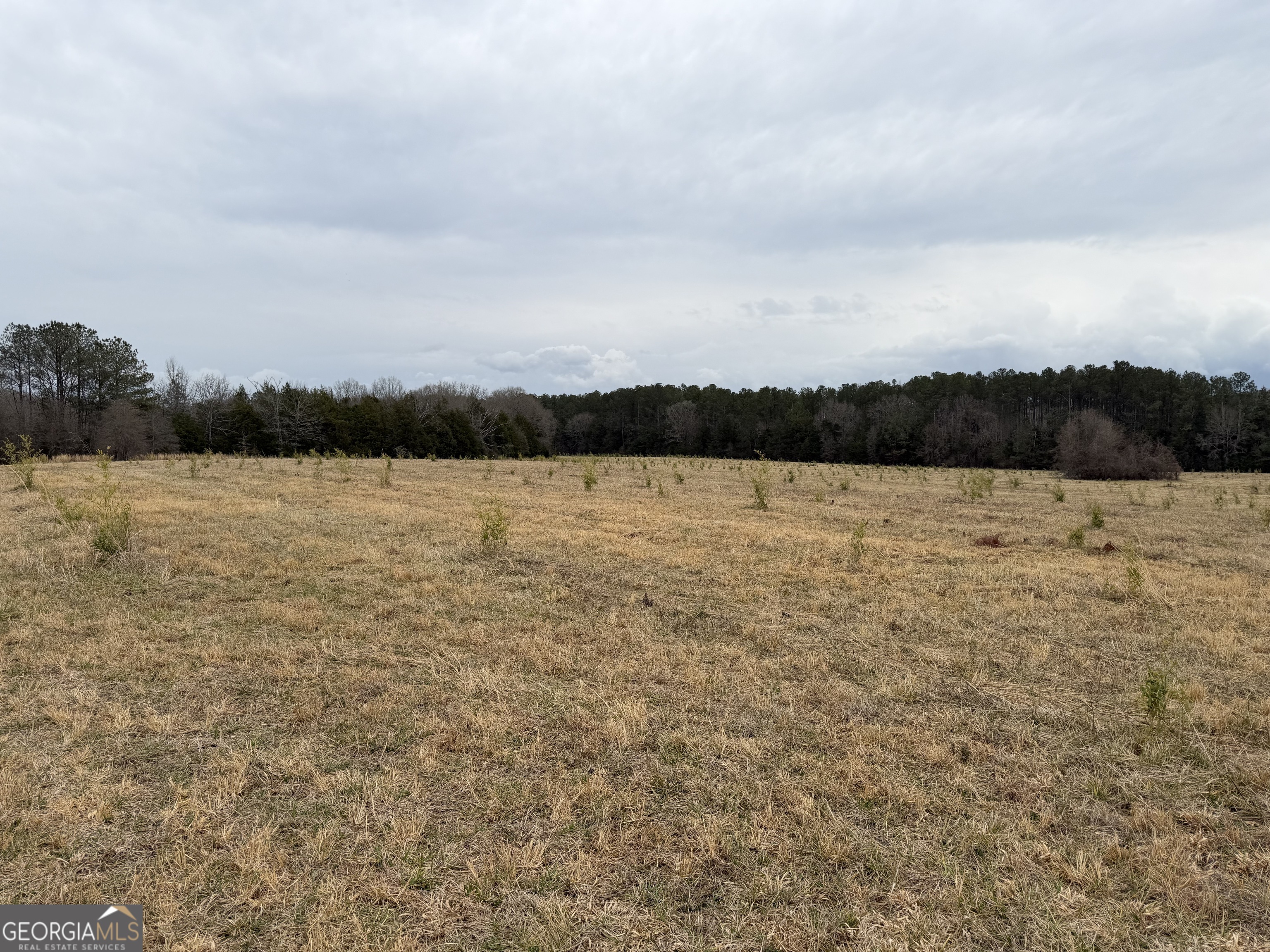 1 Seneca Street Calhoun Falls, SC 29628 - Photo 31 of 37