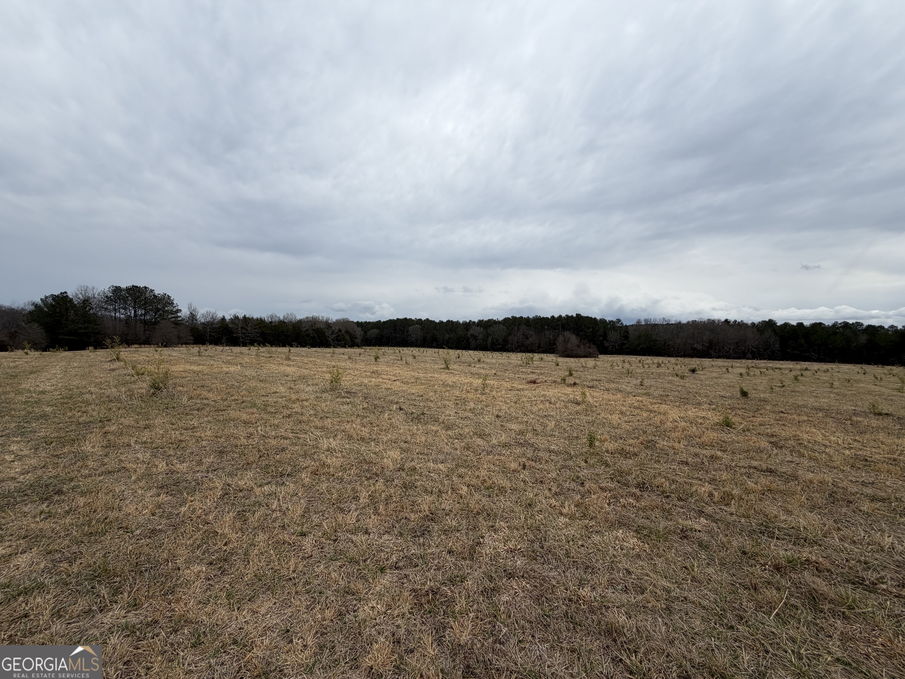 1 Seneca Street Calhoun Falls, SC 29628 - Photo 32 of 37