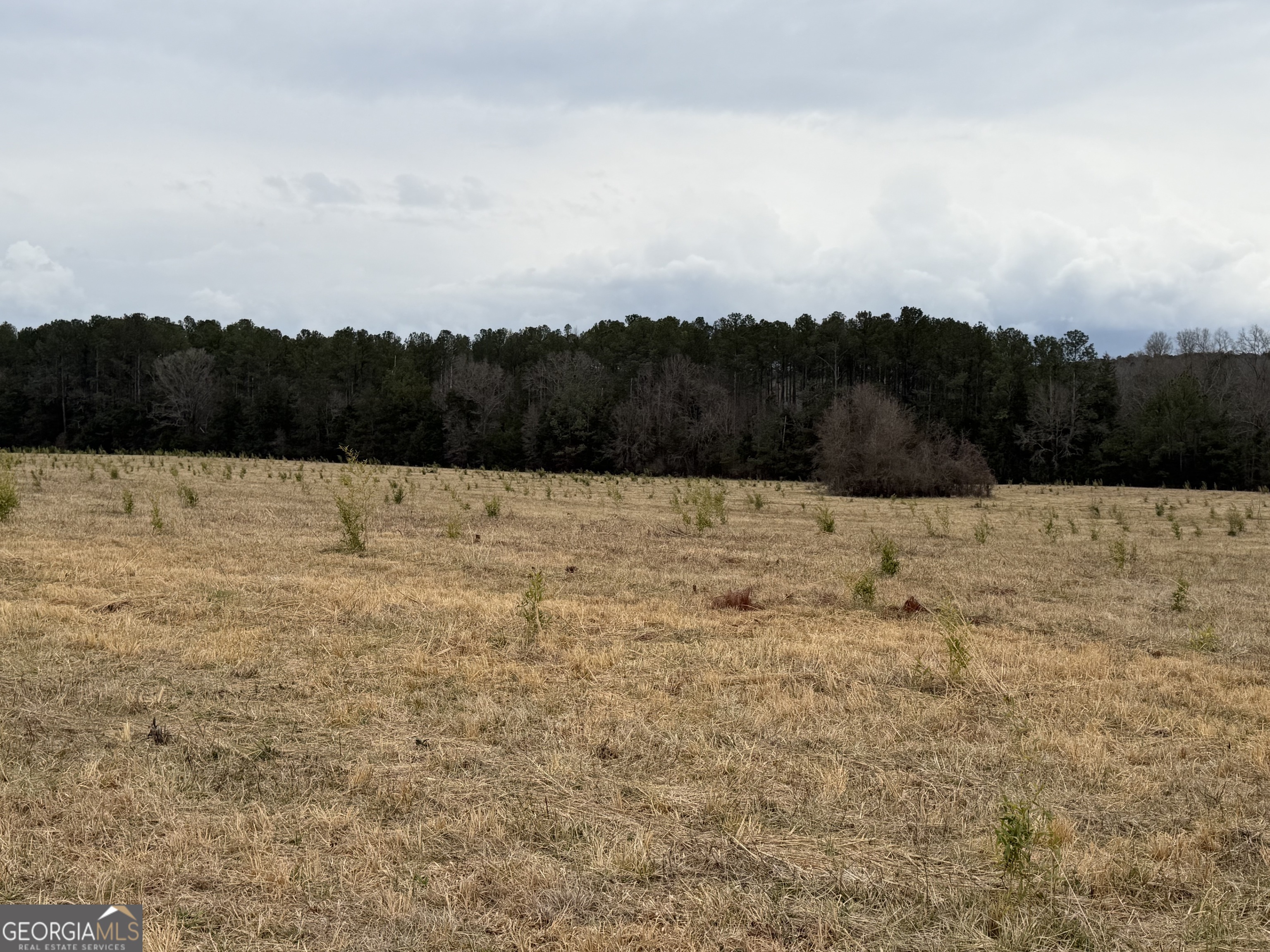 1 Seneca Street Calhoun Falls, SC 29628 - Photo 33 of 37
