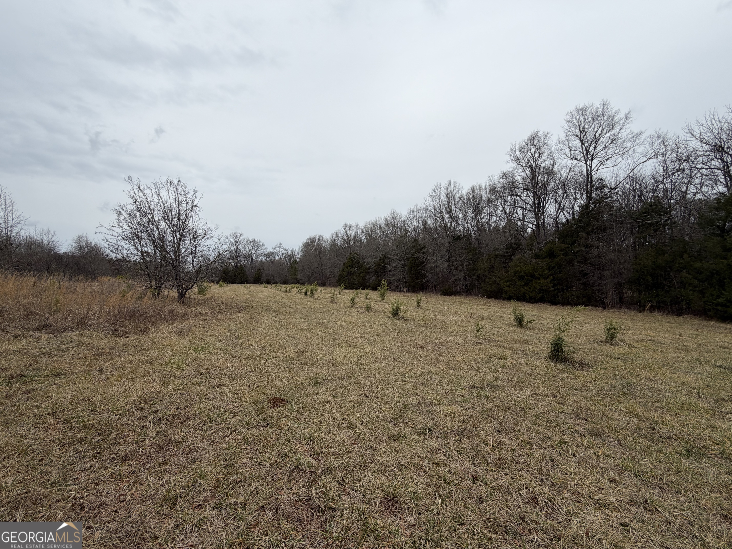 1 Seneca Street Calhoun Falls, SC 29628 - Photo 34 of 37