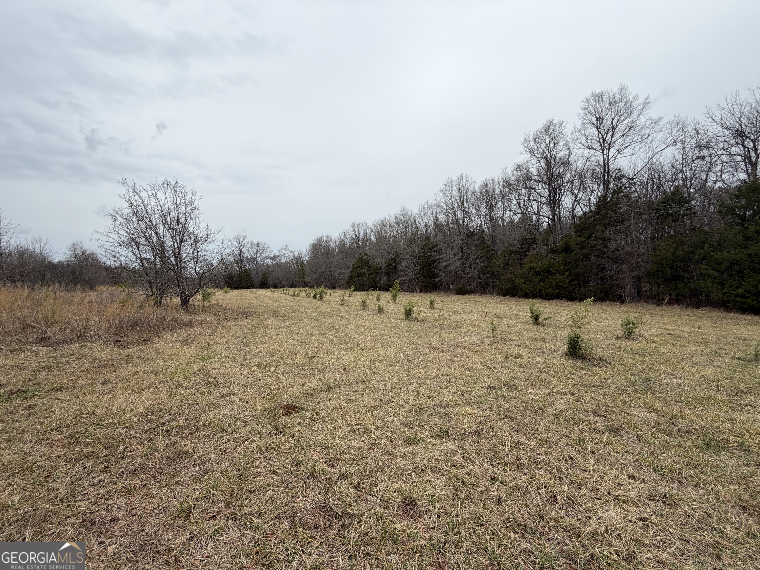 1 Seneca Street Calhoun Falls, SC 29628 - Photo 35 of 37