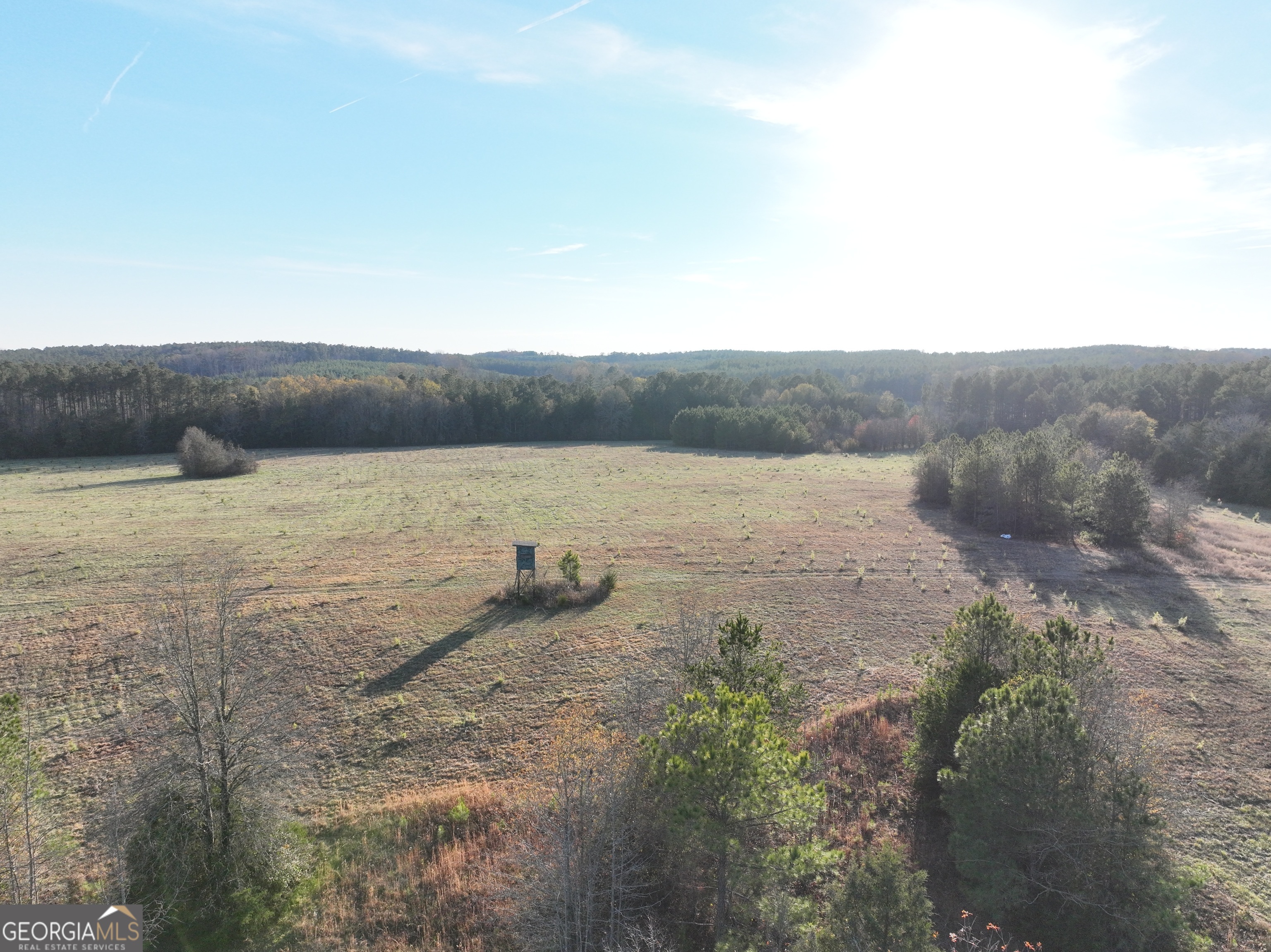 1 Seneca Street Calhoun Falls, SC 29628 - Photo 6 of 37