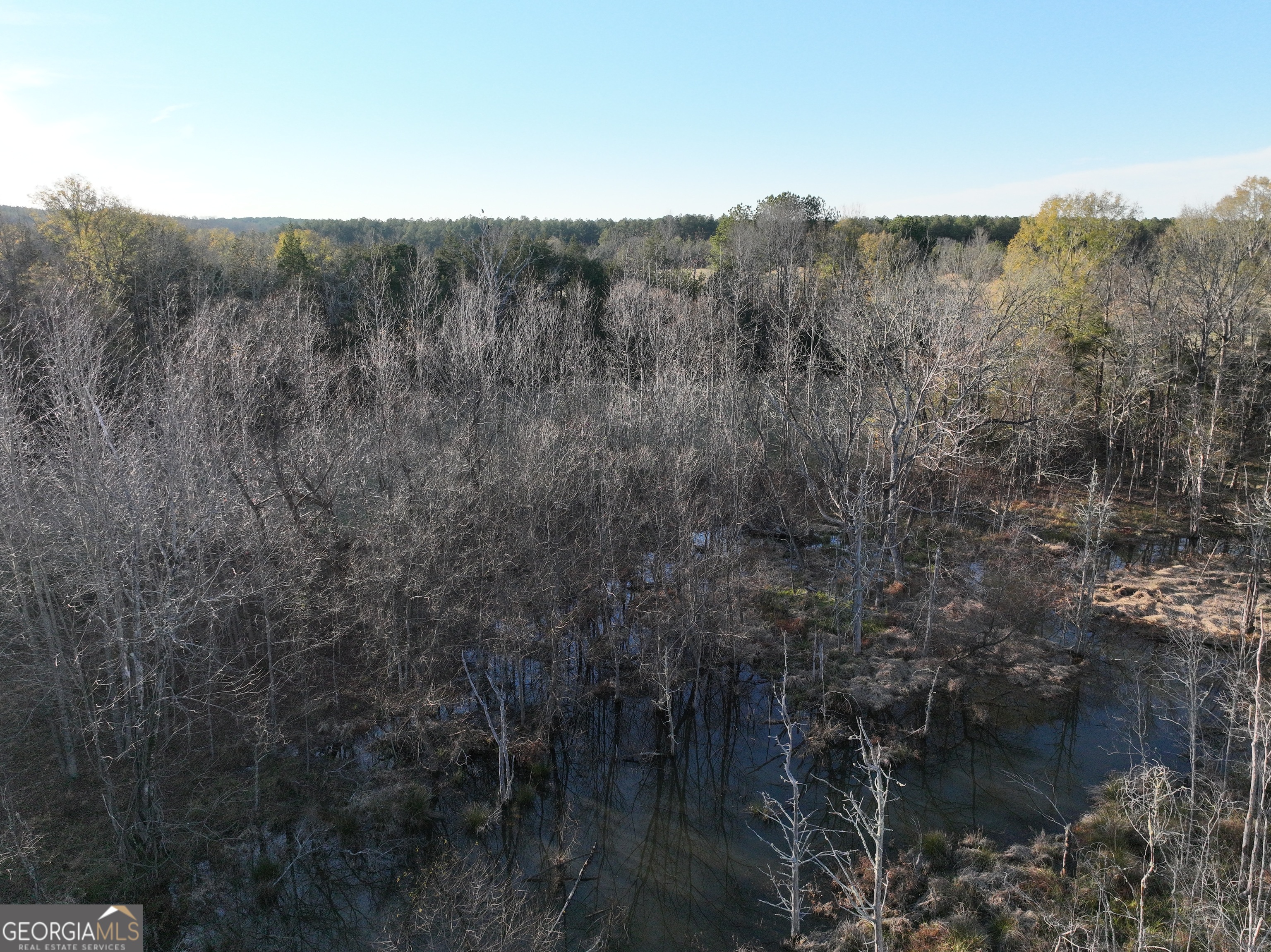 1 Seneca Street Calhoun Falls, SC 29628 - Photo 9 of 37