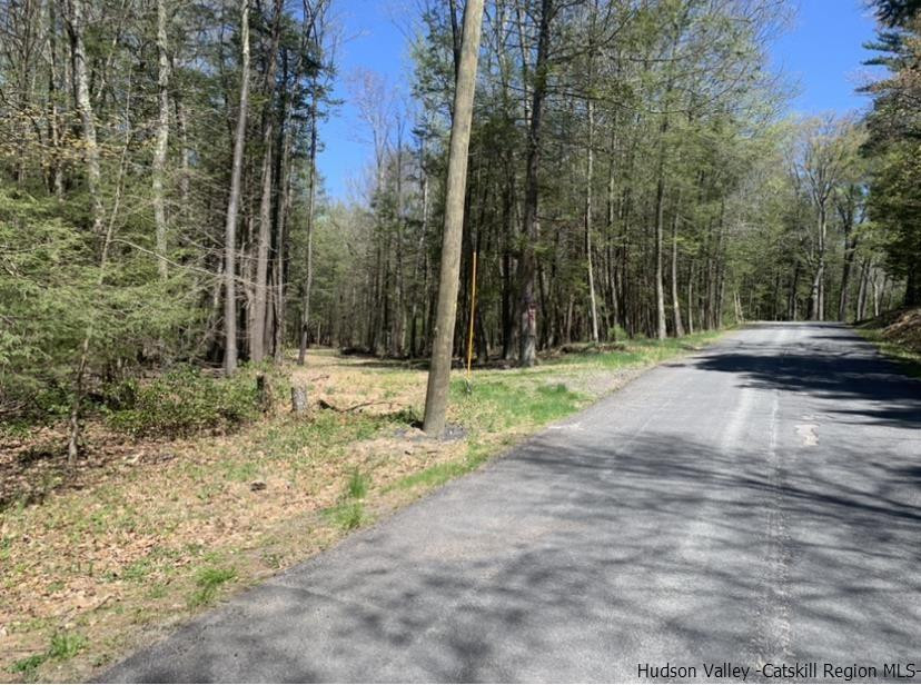 96 Tempaloni Road Ellenville, NY 12428 - Photo 3 of 9 Photo 3