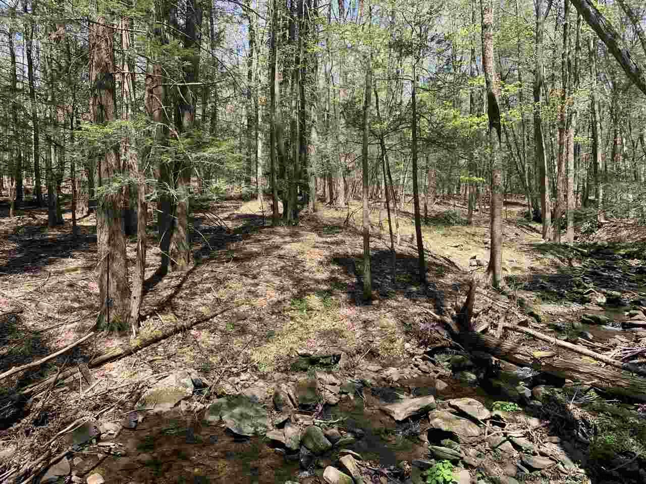 96 Tempaloni Road Ellenville, NY 12428 - Photo 8 of 9 Photo 8