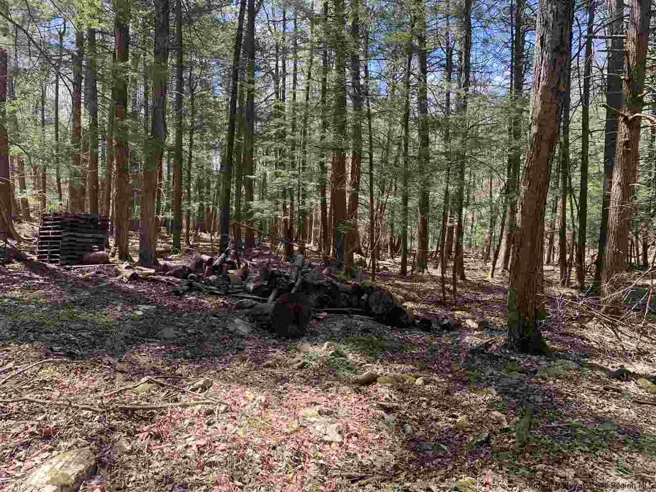 96 Tempaloni Road Ellenville, NY 12428 - Photo 9 of 9 Photo 9
