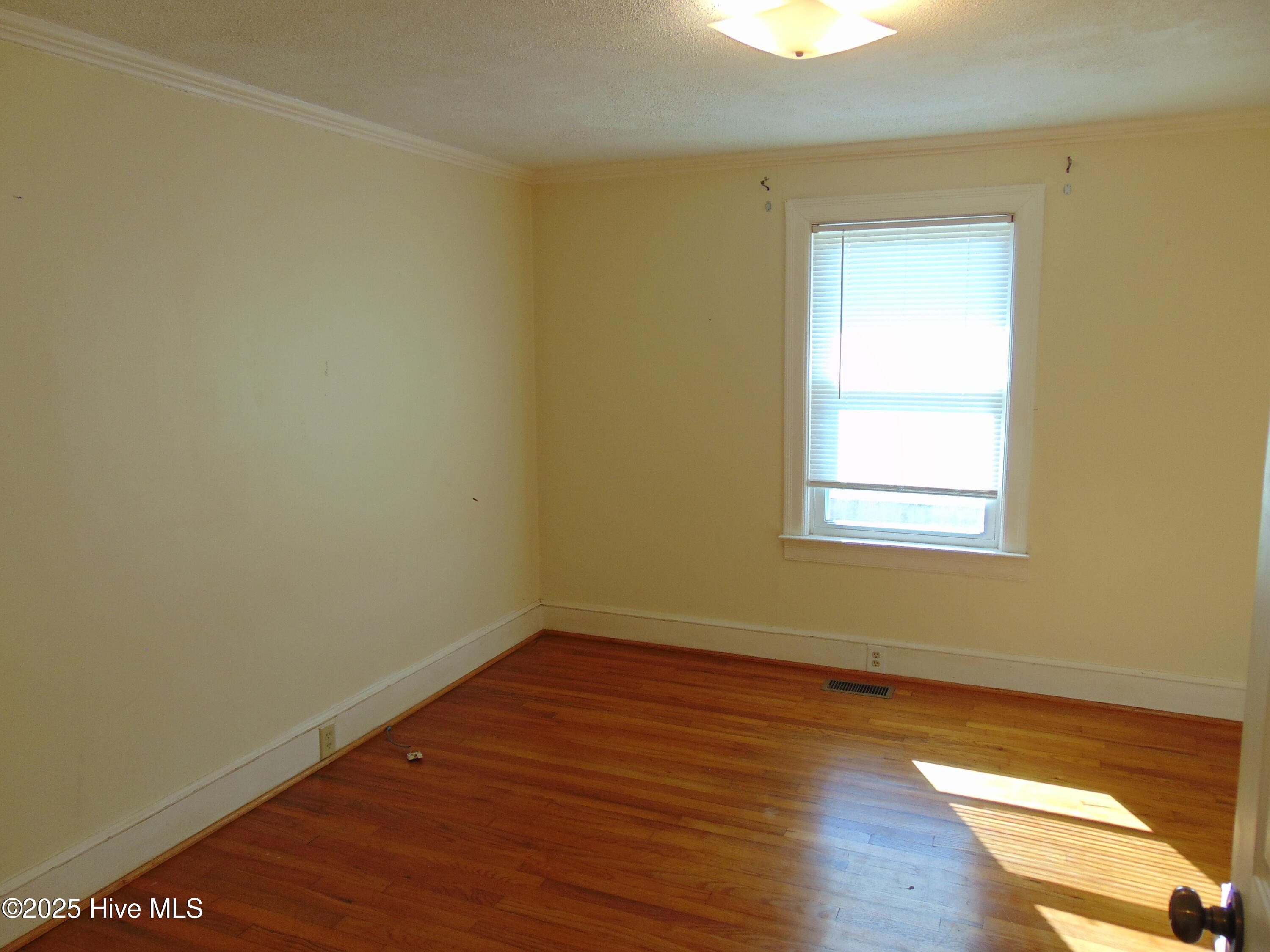 104 East Edgecombe Street Macclesfield, NC 27852 - Photo 23 of 29 DSC05743