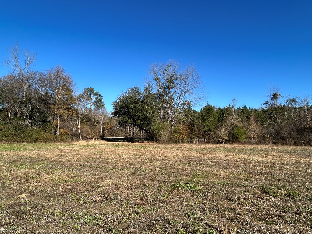 5.296-ac 5.296-ac Road Cottonwood, AL 36320 - Photo 15 of 21