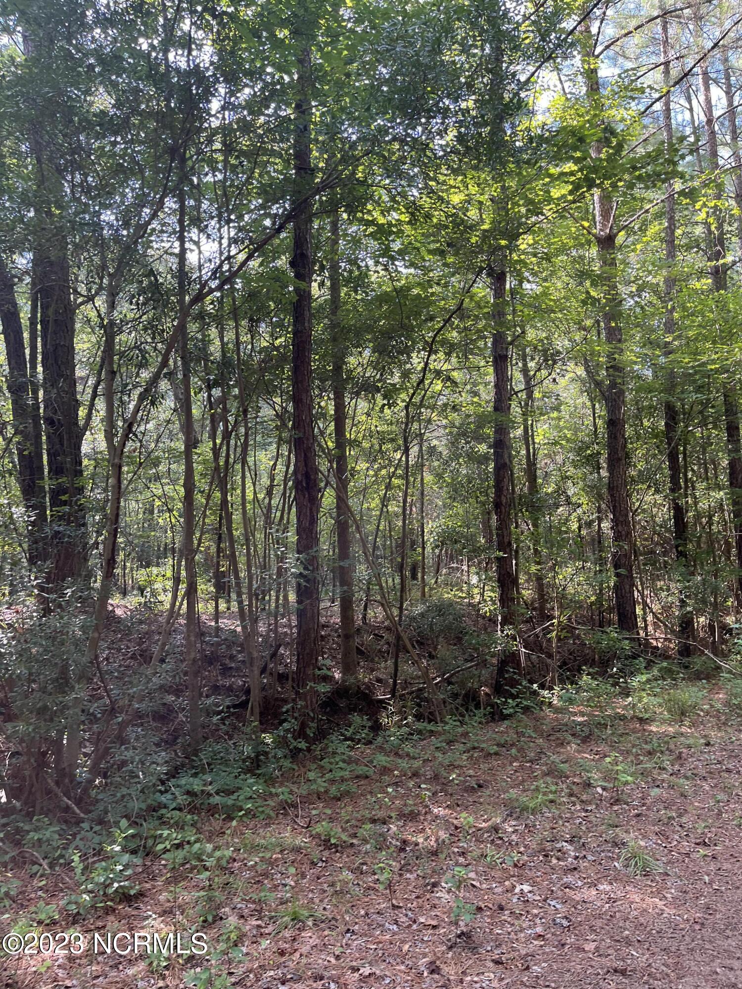 32 Old Jamestown Road Kinston, NC 28504 - Photo 1 of 1 IMG-3591