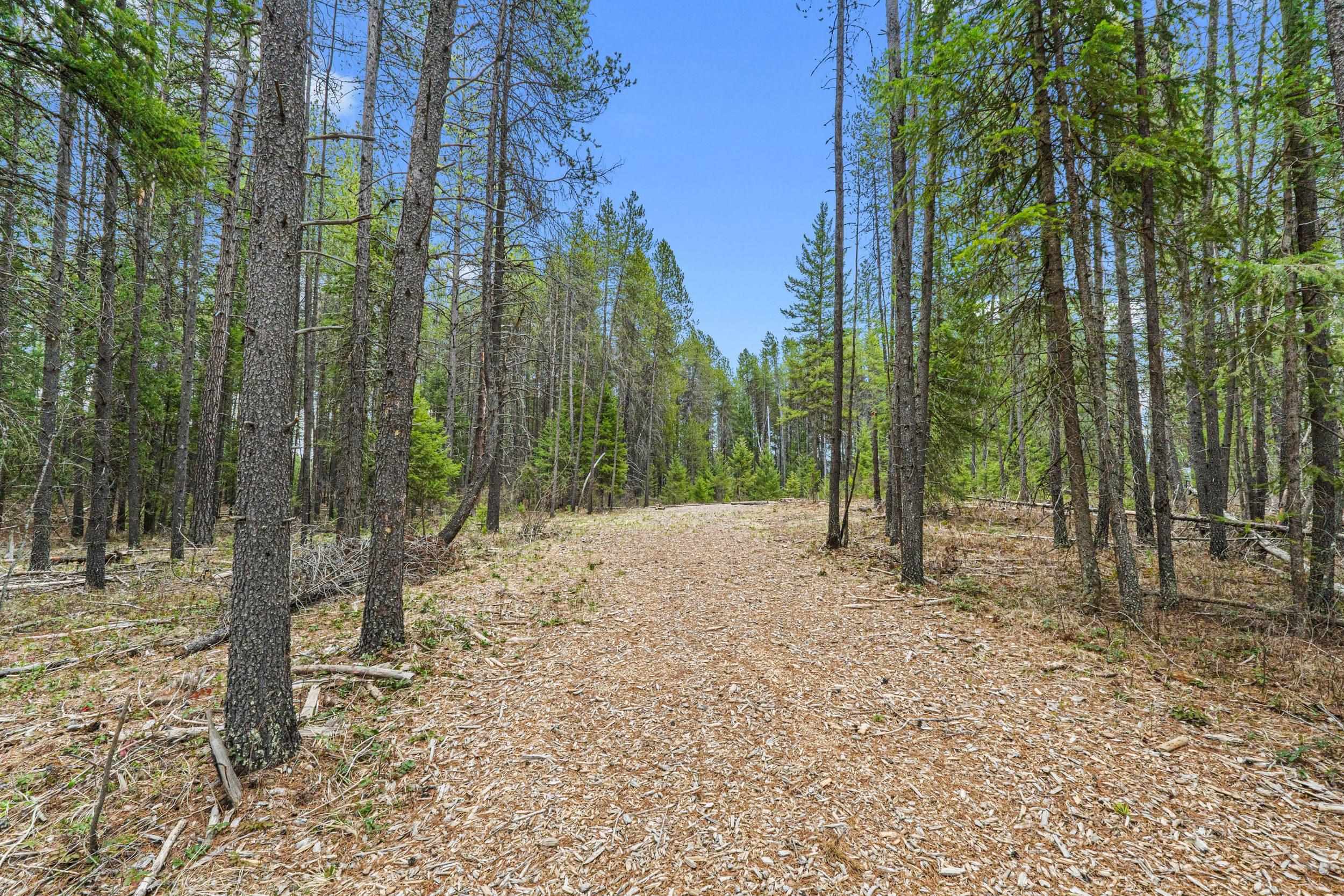 1901 Pines Road Newport, WA 99156 - Photo 11 of 28