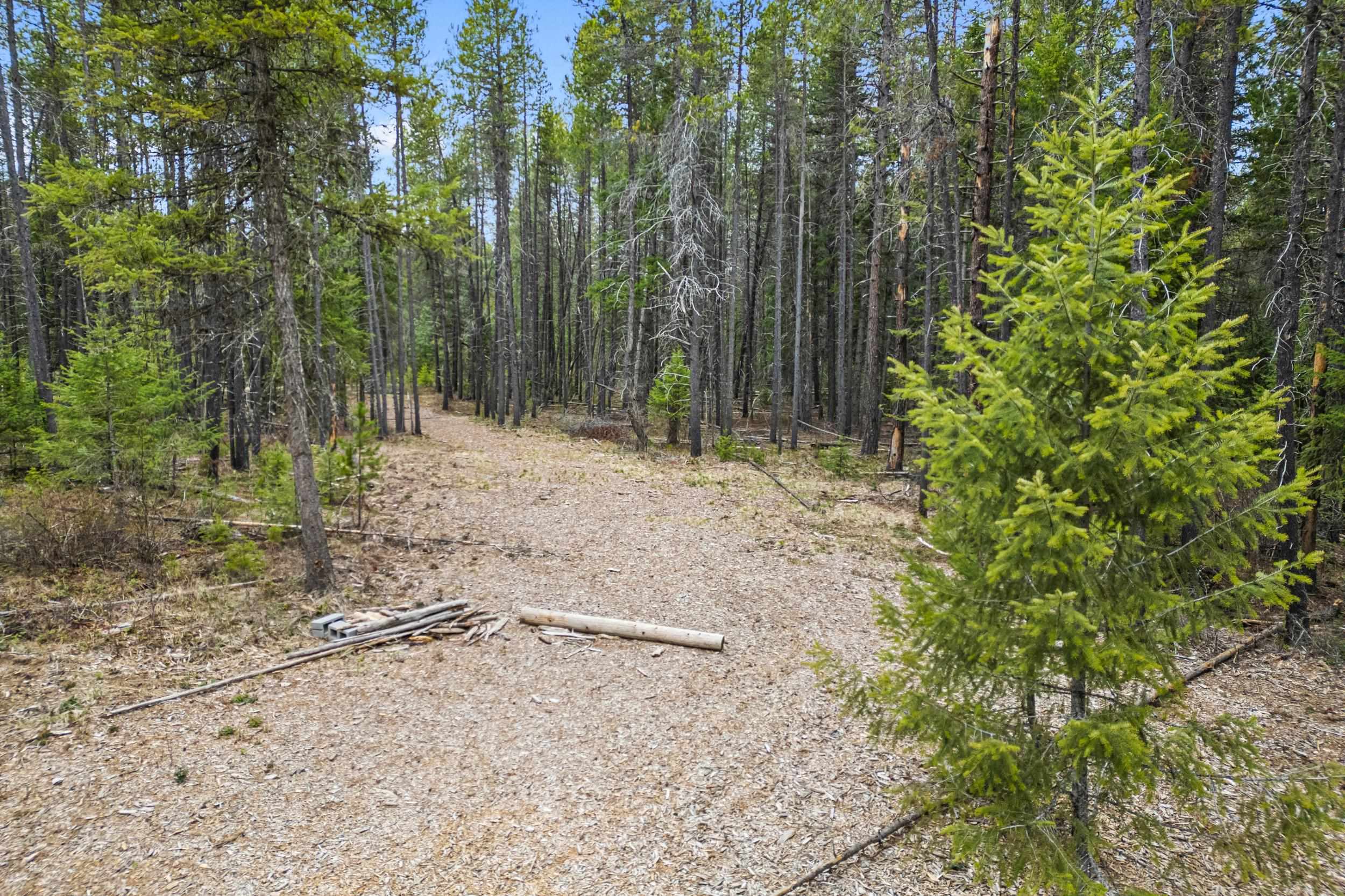 1901 Pines Road Newport, WA 99156 - Photo 12 of 28