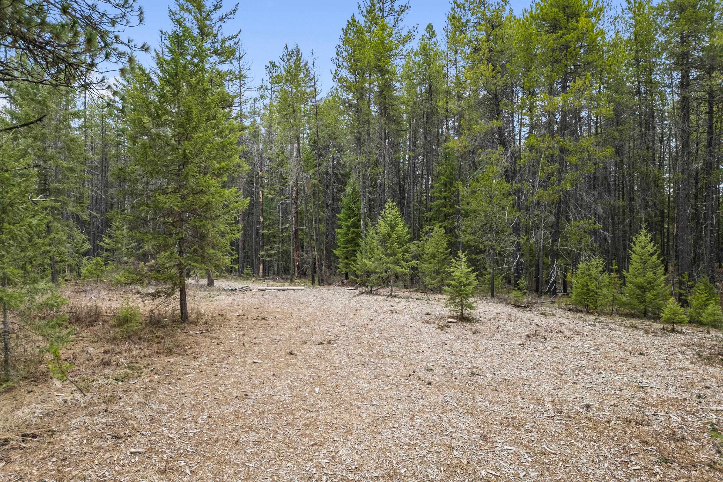 1901 Pines Road Newport, WA 99156 - Photo 13 of 28