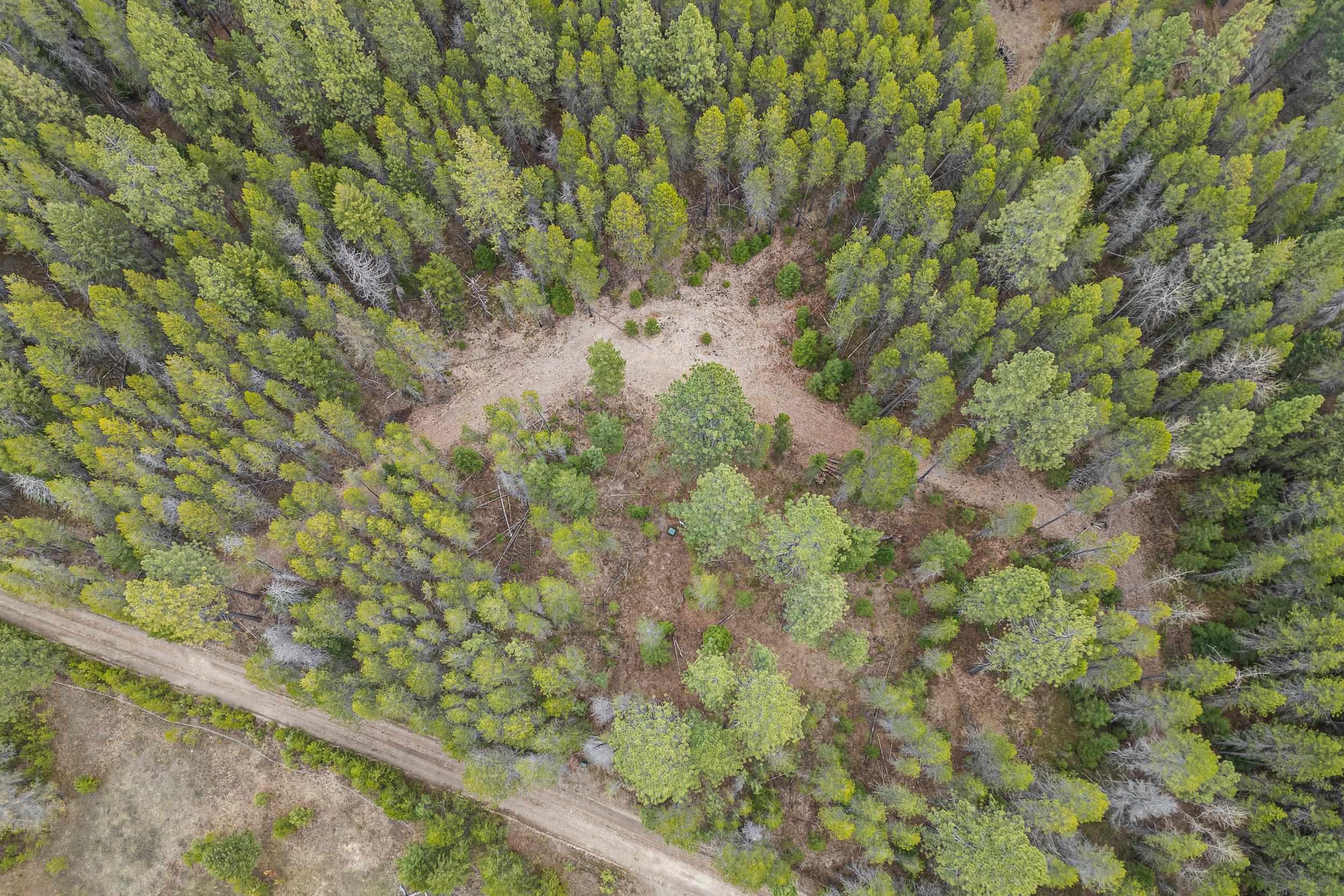 1901 Pines Road Newport, WA 99156 - Photo 14 of 28