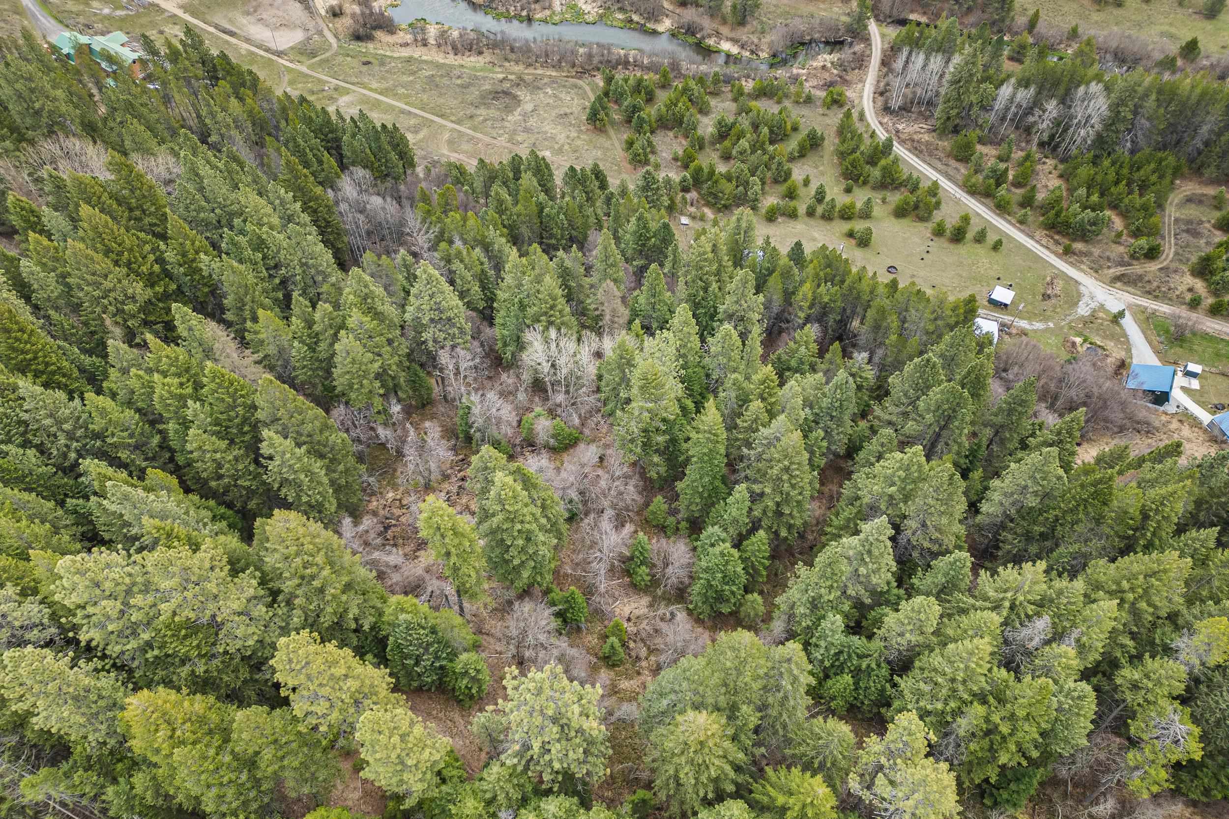 1901 Pines Road Newport, WA 99156 - Photo 18 of 28