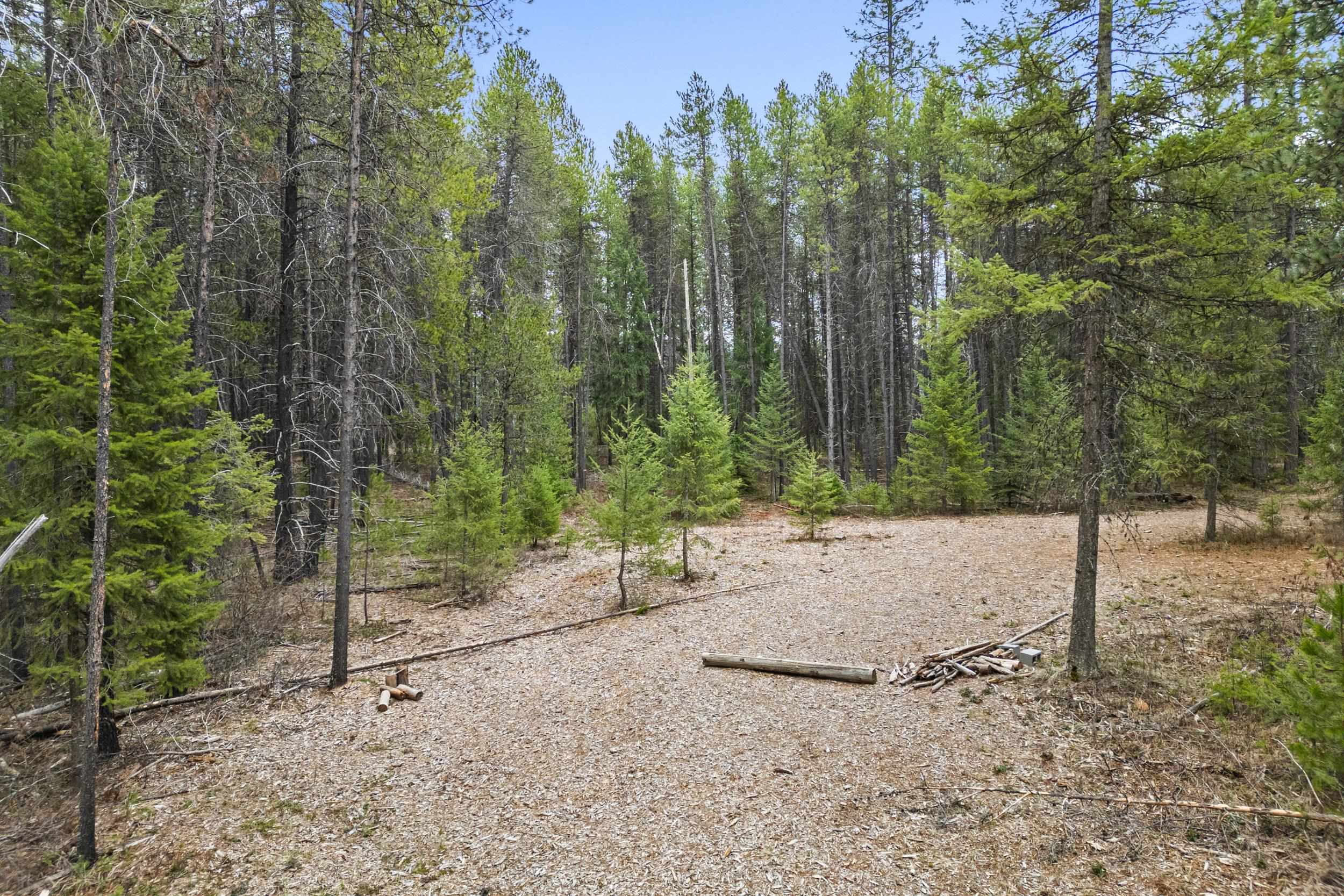 1901 Pines Road Newport, WA 99156 - Photo 3 of 28