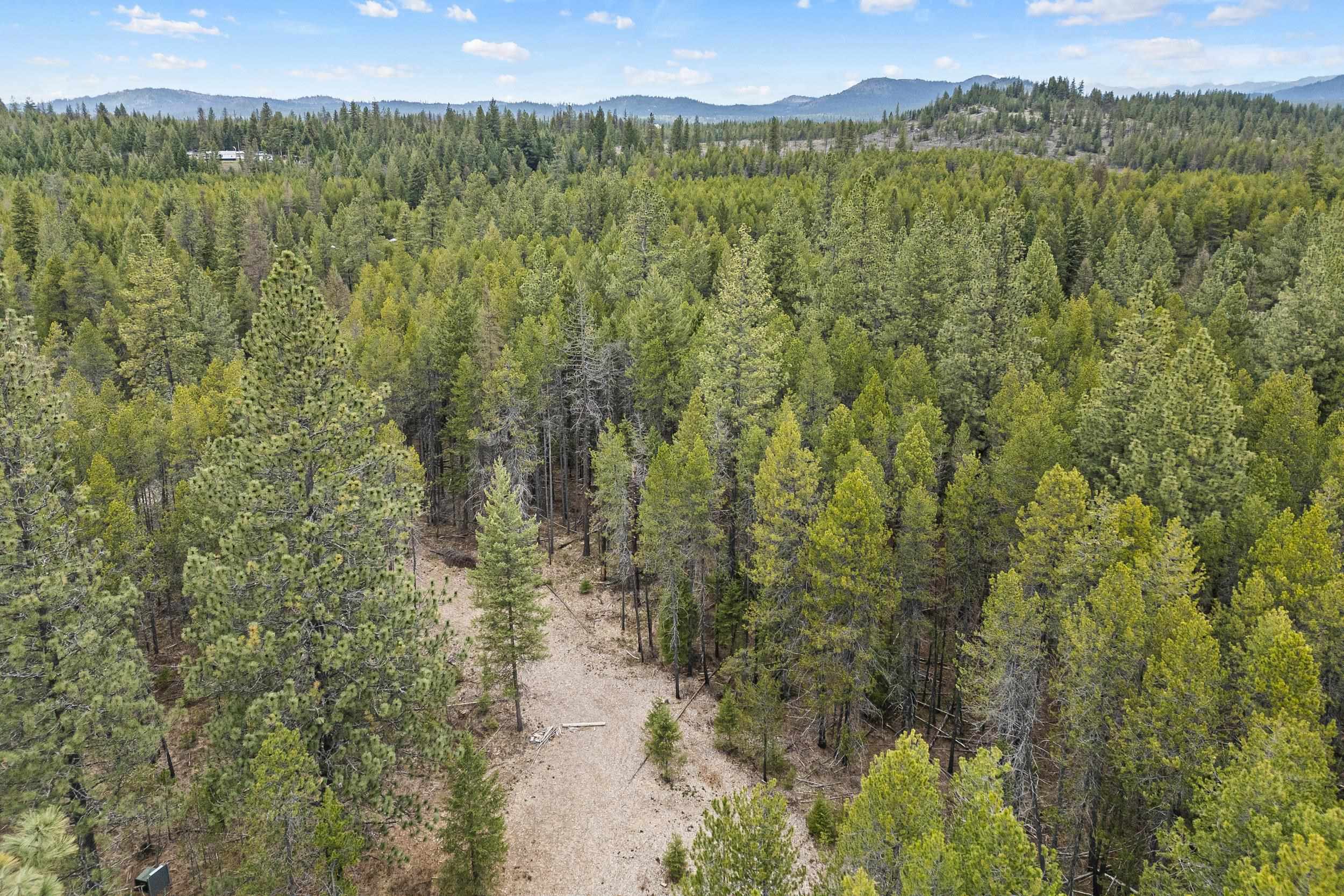 1901 Pines Road Newport, WA 99156 - Photo 4 of 28