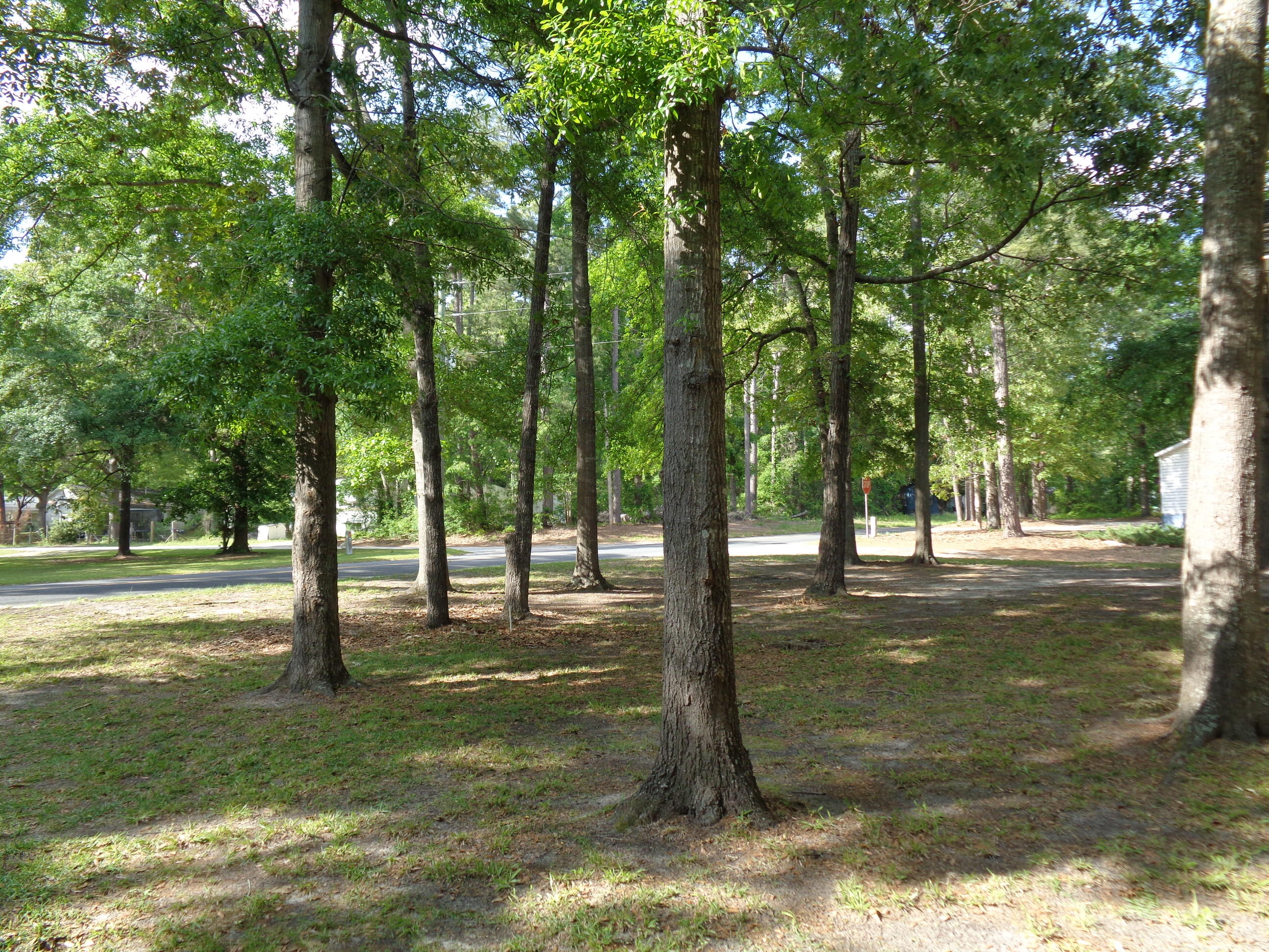 208 3rd Street Santee, SC 29142 - Photo 30 of 30 DSC00015