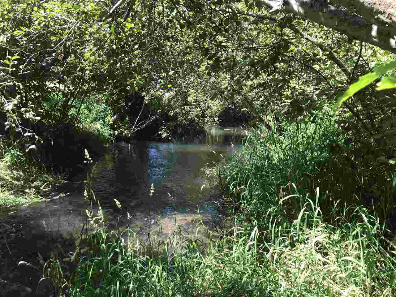 0 West Herman Road Deer Park, WA 99006 - Photo 22 of 31